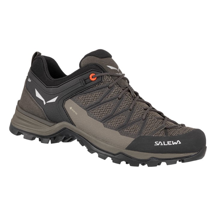 Salewa Trainer Lite GTX Wanderschuh günstig online kaufen