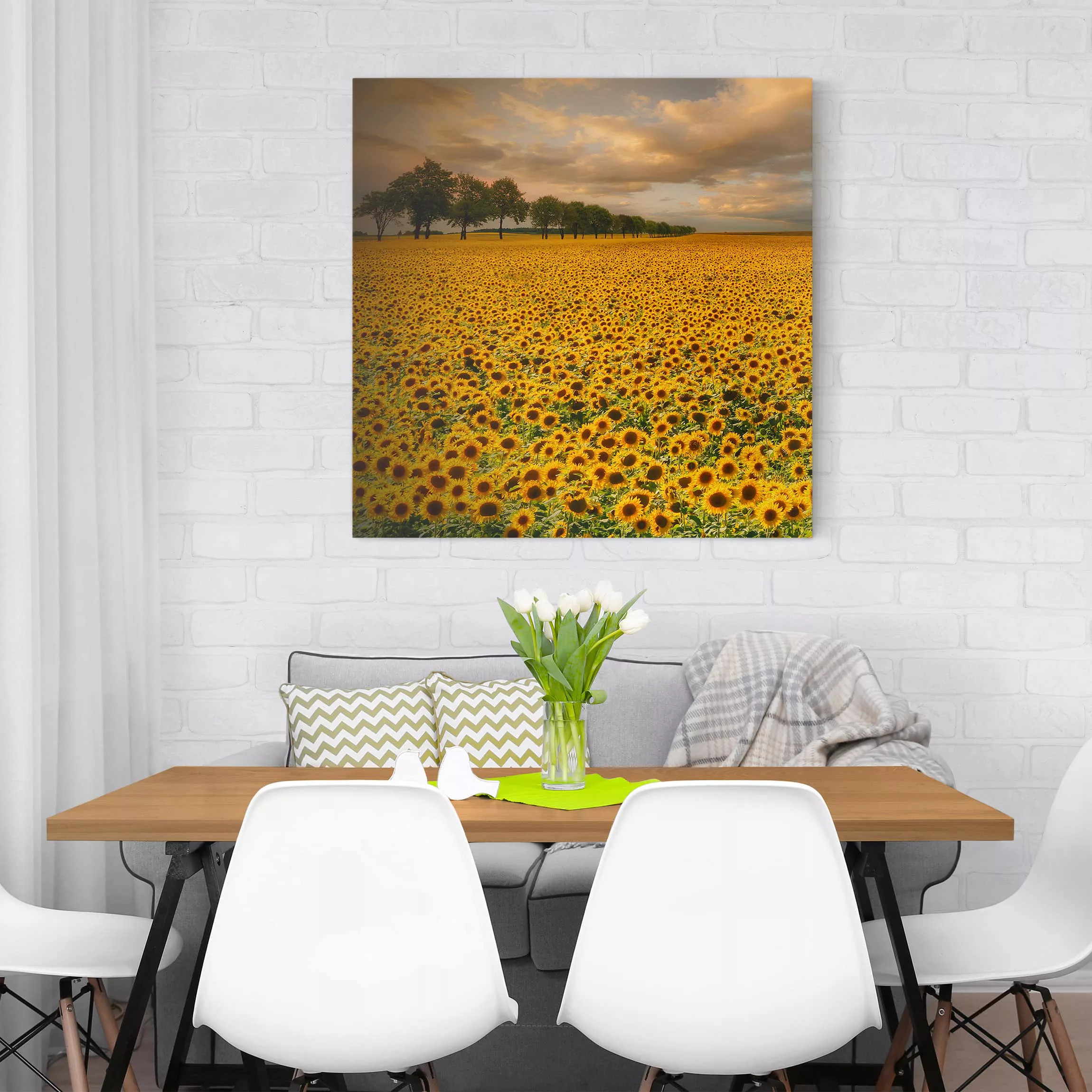 Leinwandbild Blumen - Quadrat Feld mit Sonnenblumen günstig online kaufen