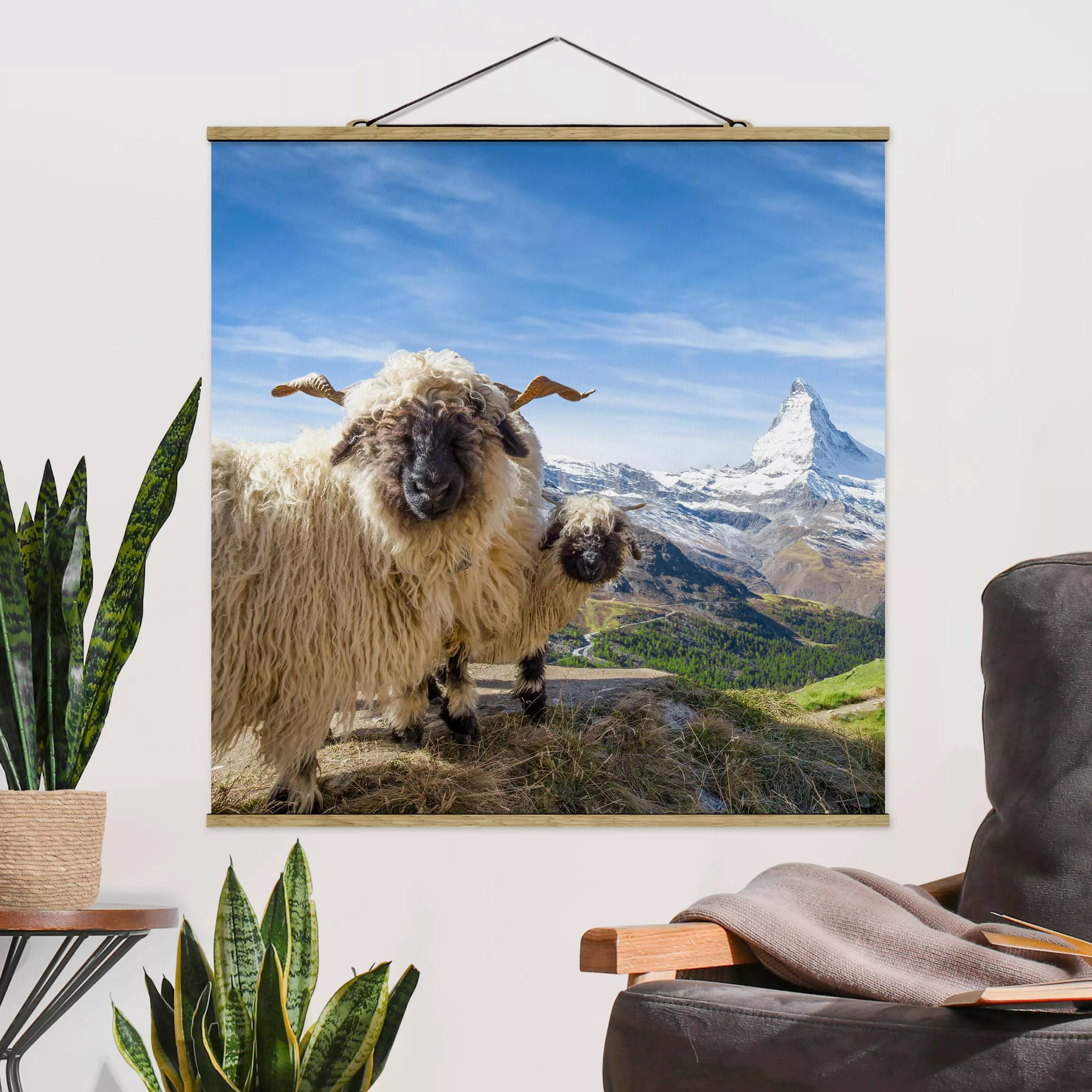 Stoffbild mit Posterleisten Schwarznasenschafe von Zermatt günstig online kaufen