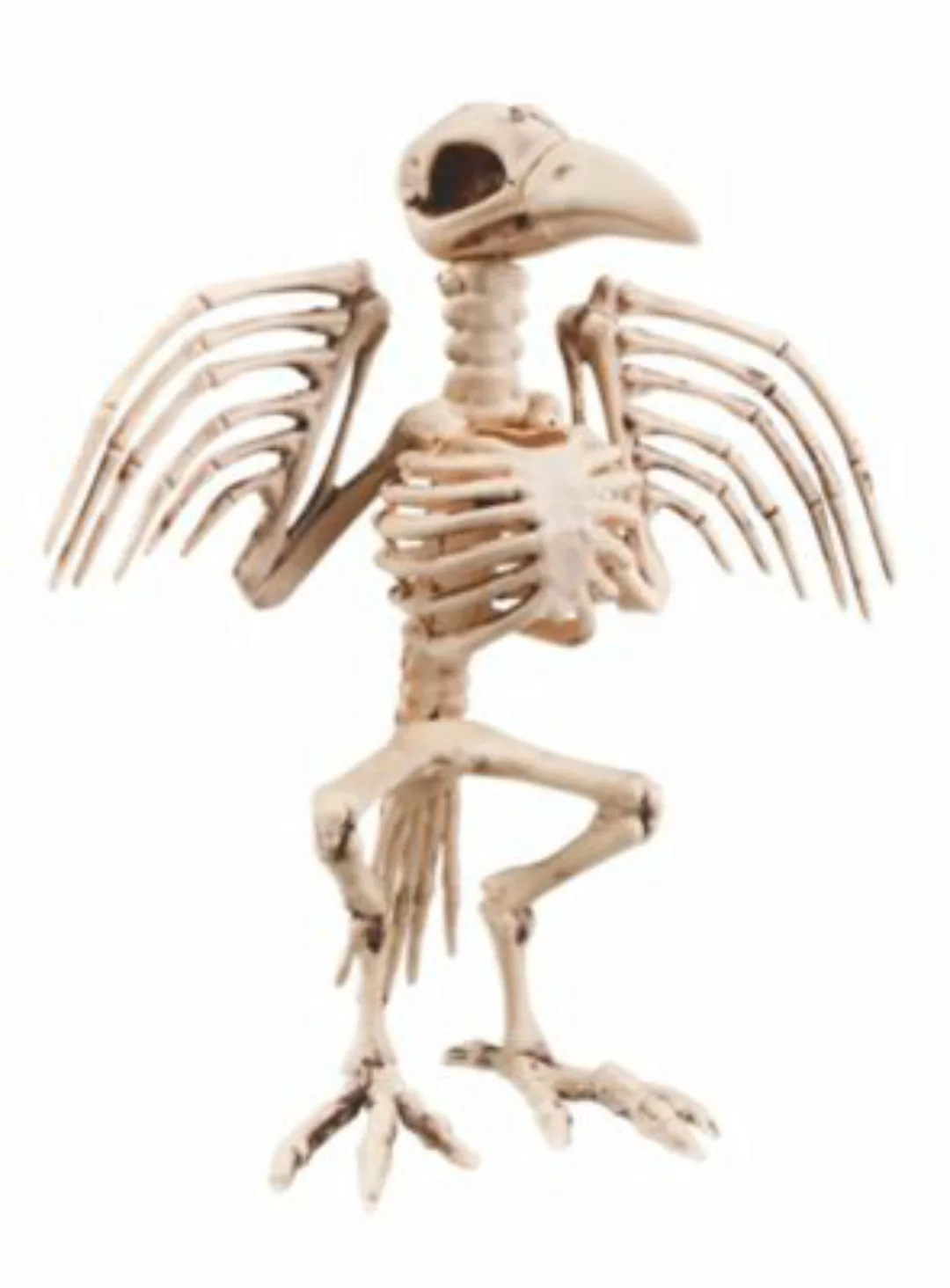 METAMORPH Vogelskelett Halloween Deko weiß günstig online kaufen