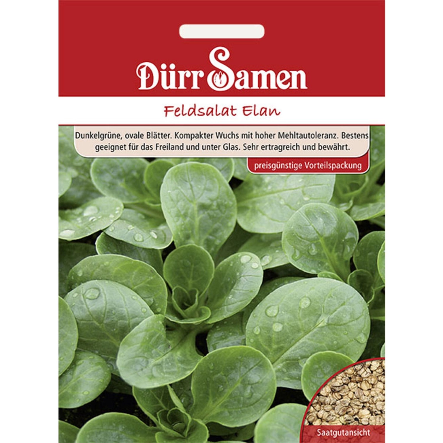 Dürr Samen Feldsalat Elan Saatgut Vorteilspack günstig online kaufen