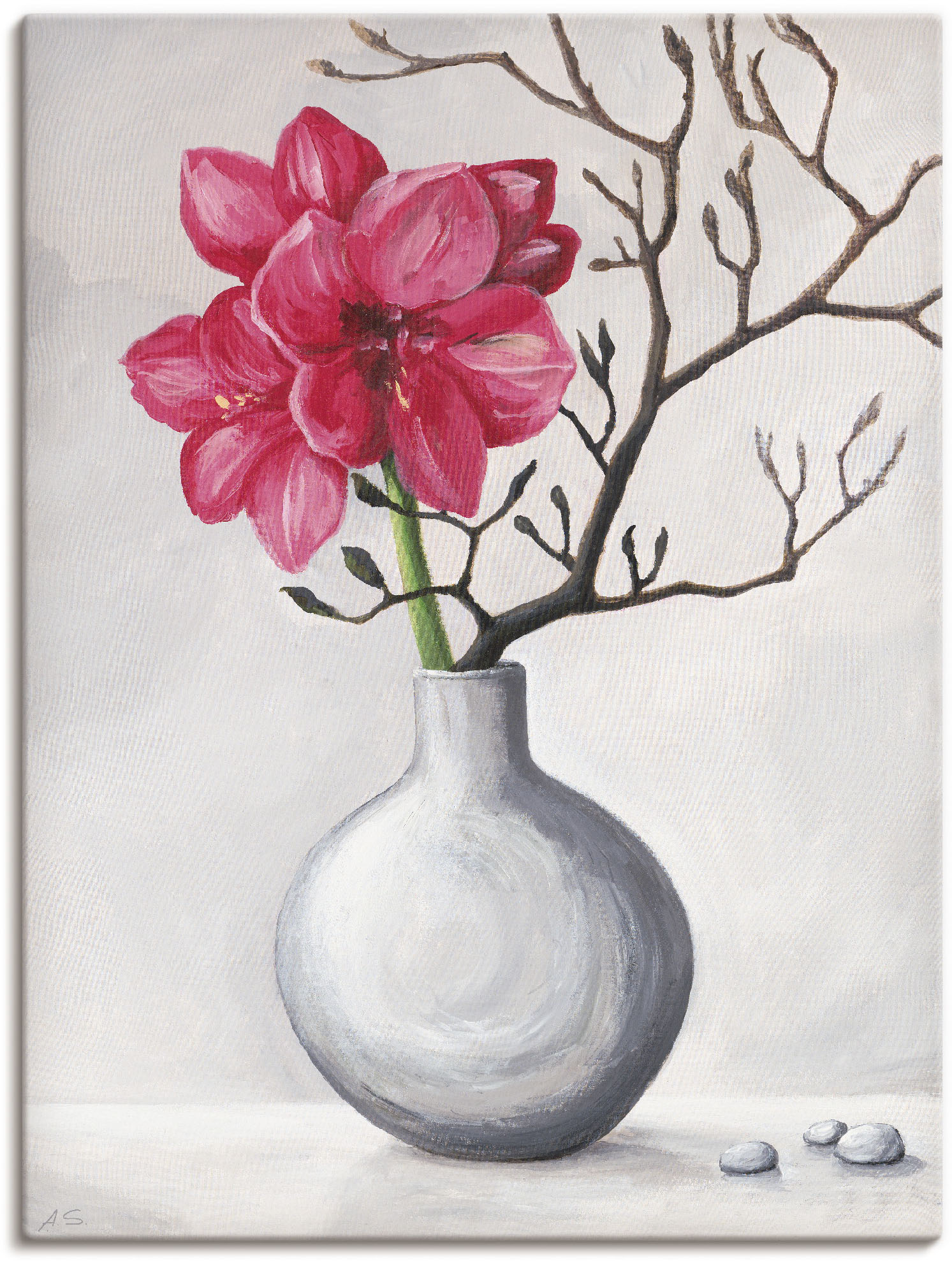 Artland Wandbild "Rote Amaryllis", Blumen, (1 St.), als Alubild, Outdoorbil günstig online kaufen