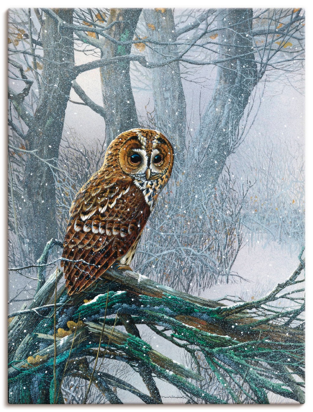 Artland Wandbild "Eule in verschneitem Wald", Vögel, (1 St.), als Leinwandb günstig online kaufen