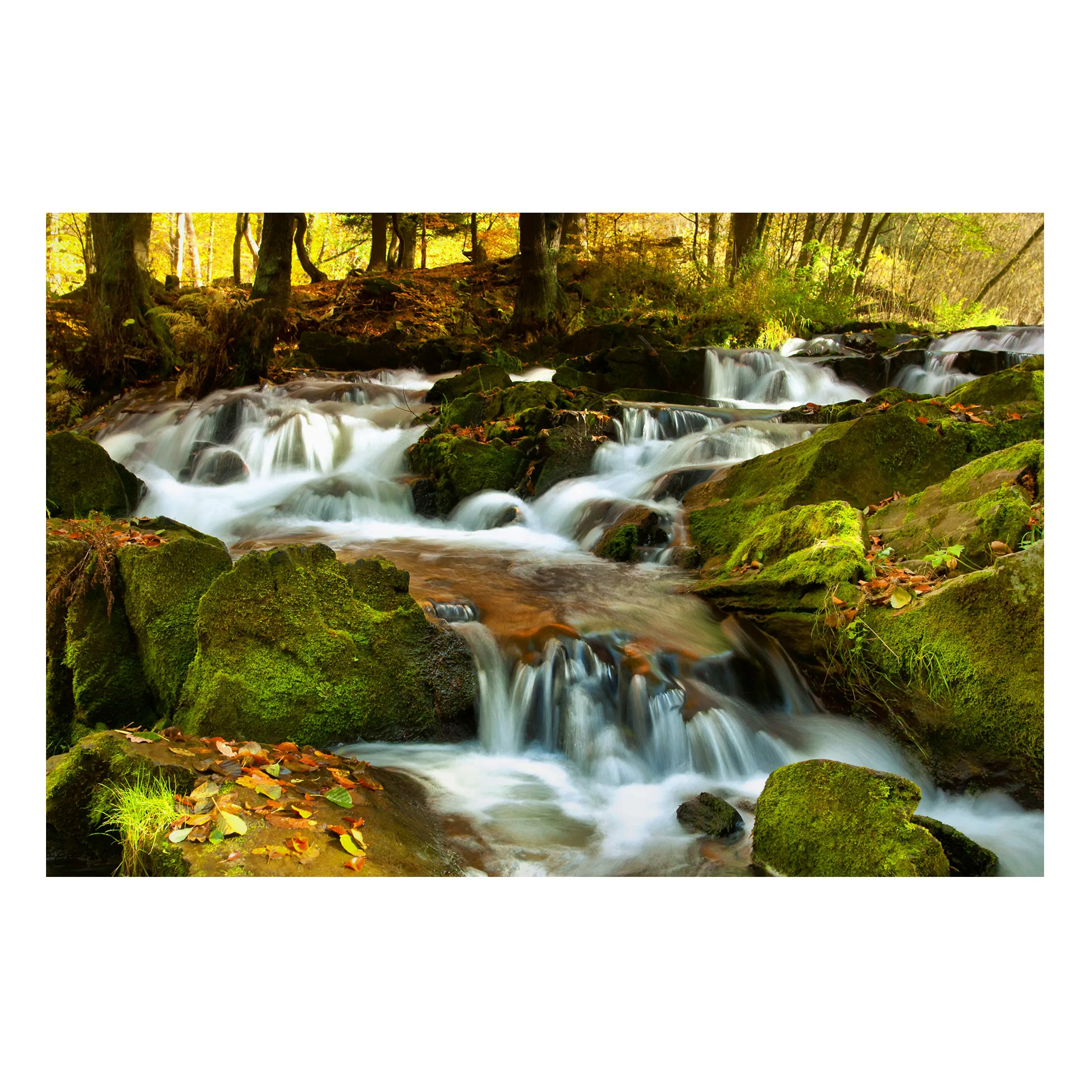 Magnettafel - Hochformat 3:4 Wasserfall herbstlicher Wald günstig online kaufen