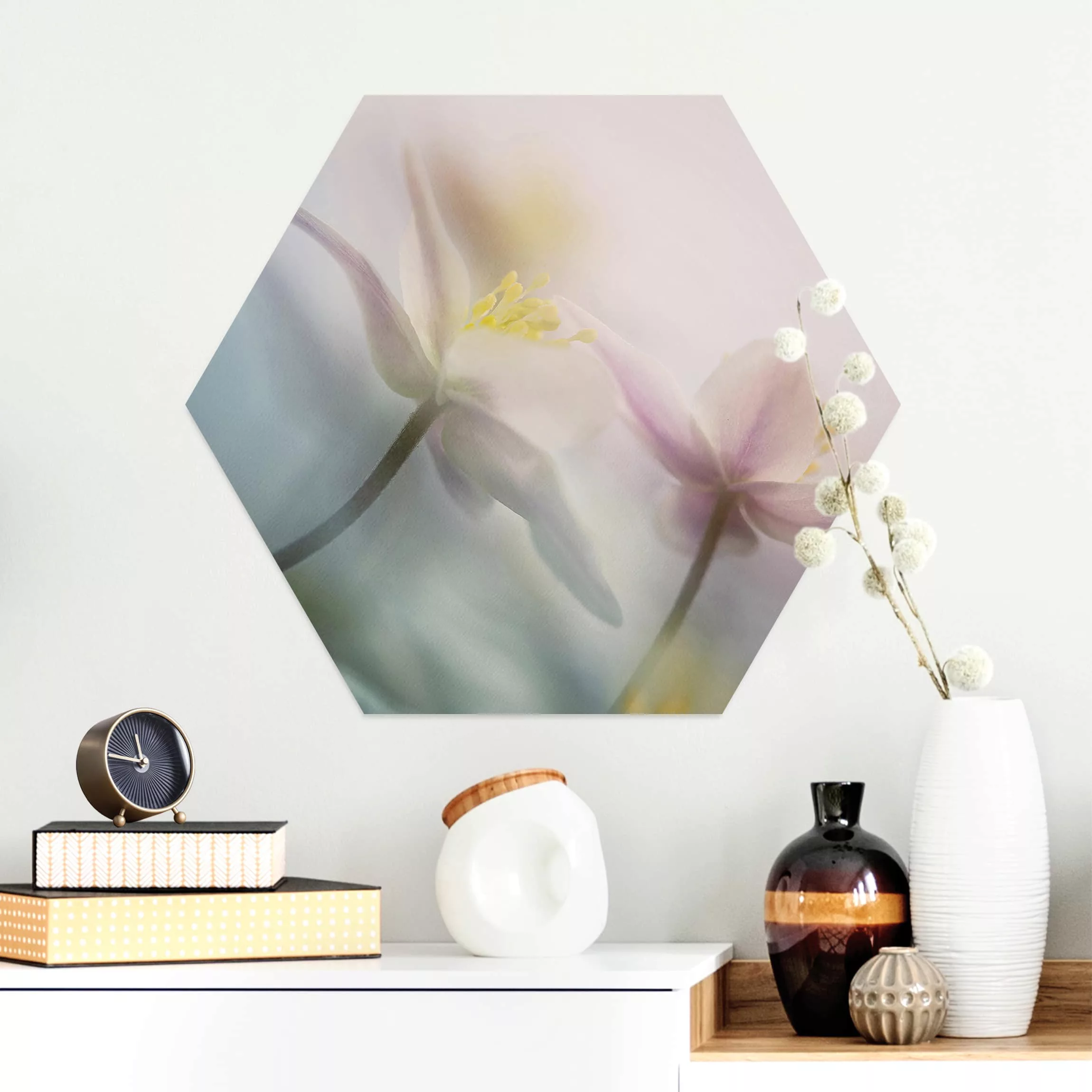 Hexagon-Alu-Dibond Bild Blumen Buschwindröschen günstig online kaufen