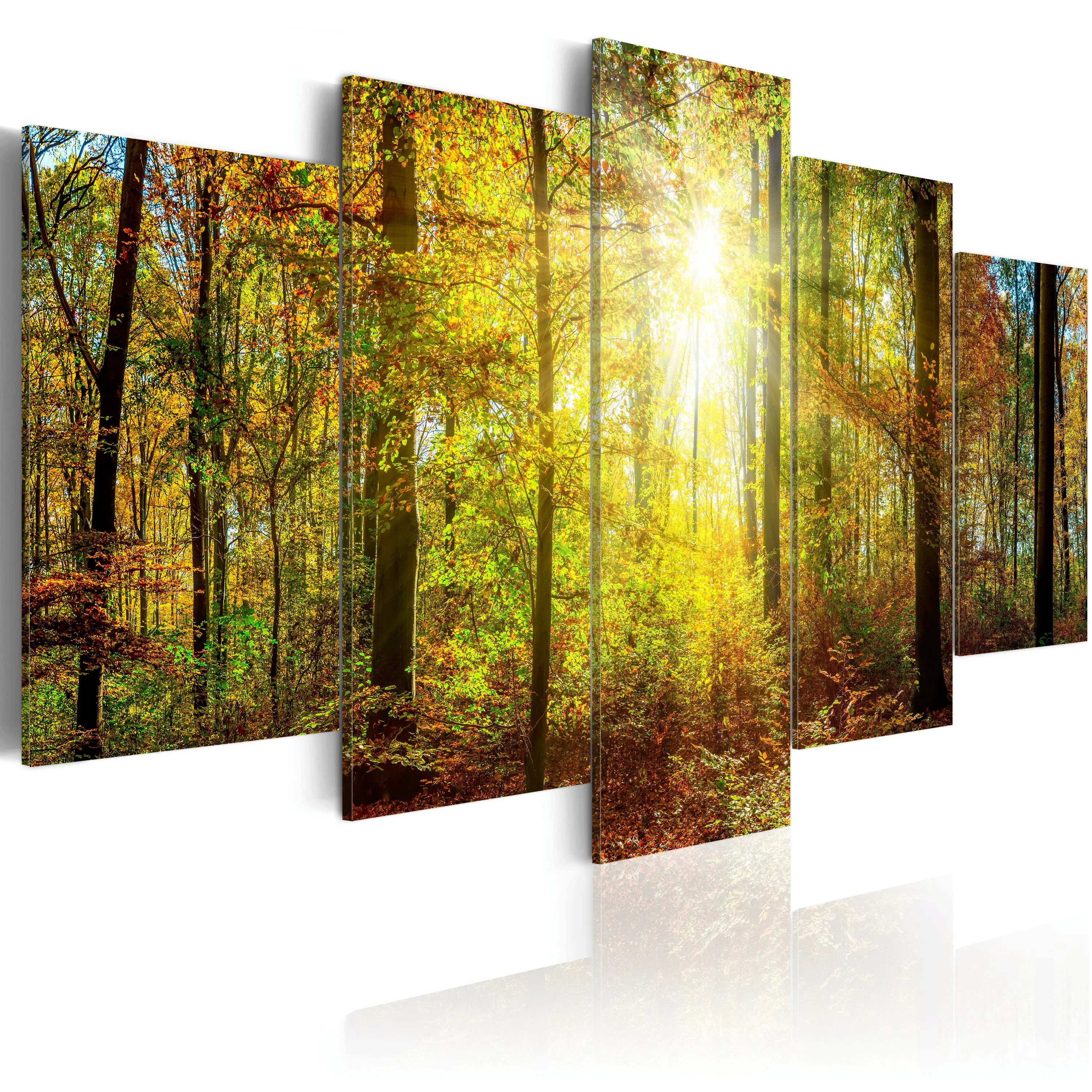 Wandbild - Mystical Forest günstig online kaufen