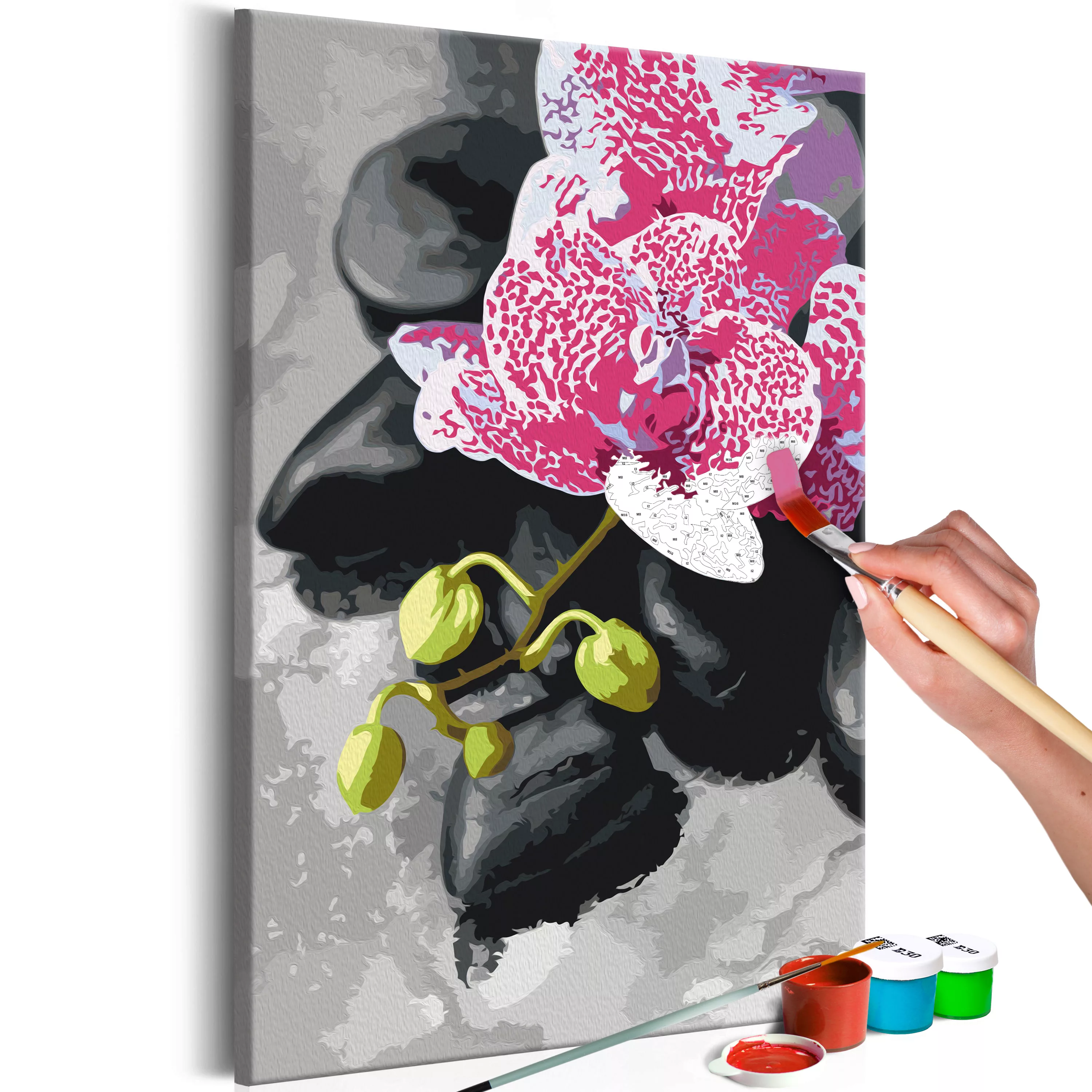 Malen Nach Zahlen - Rosarote Orchidee günstig online kaufen