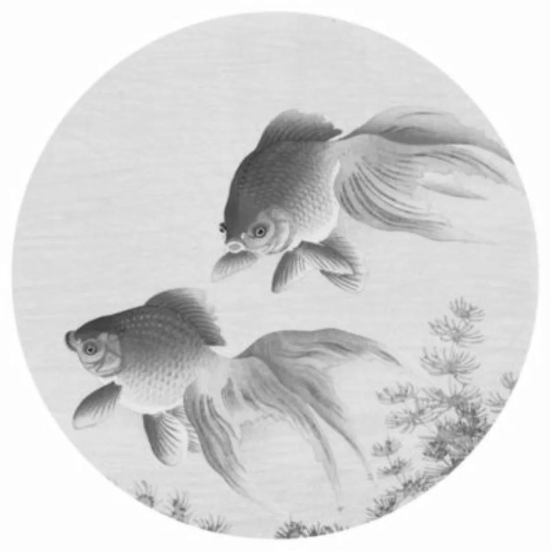 Wallart Fototapete Two Goldfish Rund 142,5 Cm günstig online kaufen