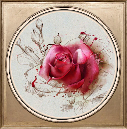 queence Acrylglasbild »Rosa Rose« günstig online kaufen