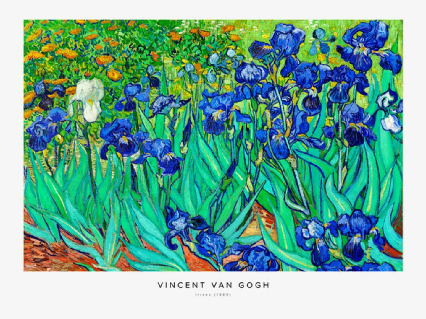 Poster / Leinwandbild - Vincent Van Gogh: Schwertlilien günstig online kaufen
