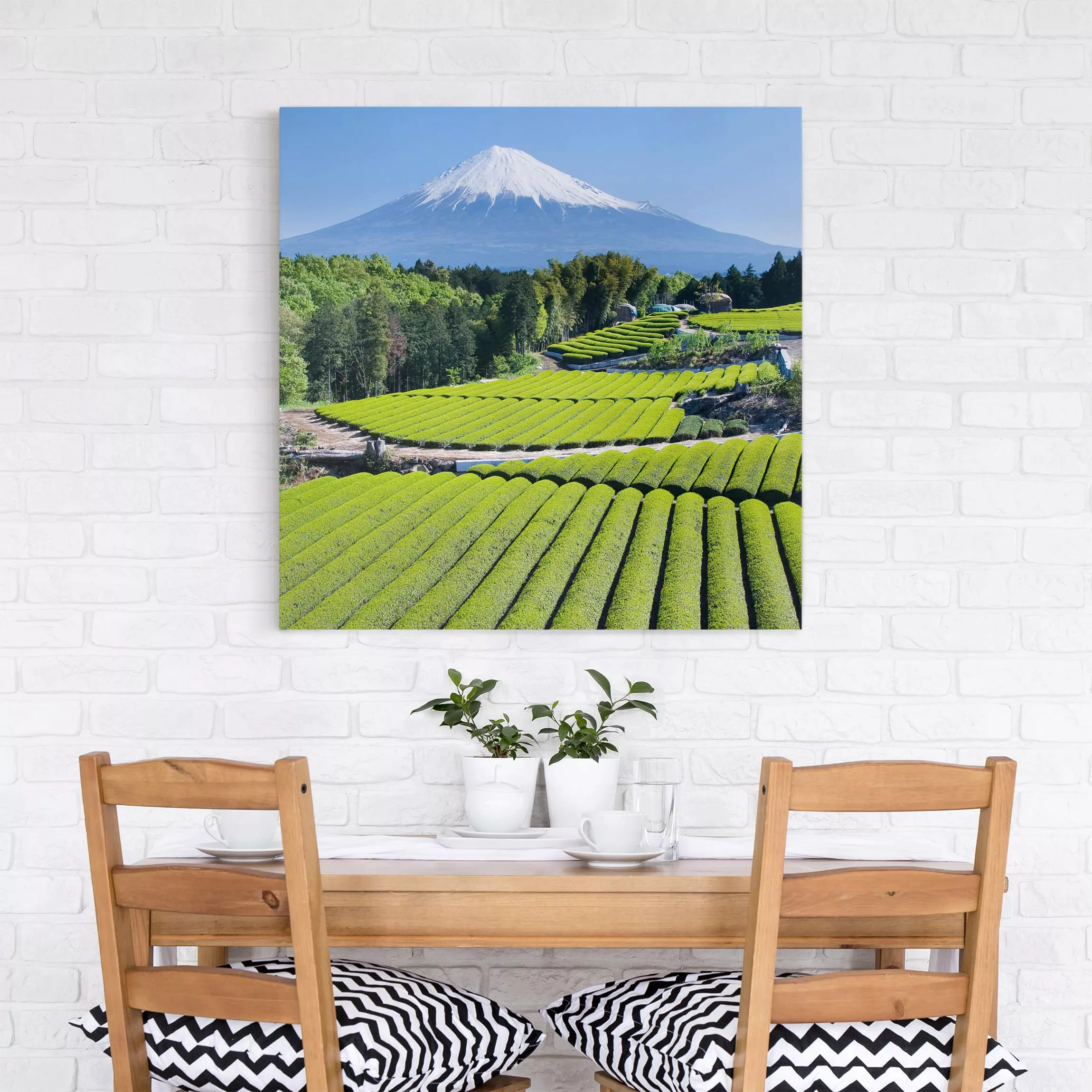 Leinwandbild Berg - Quadrat Teefelder vor dem Fuji günstig online kaufen