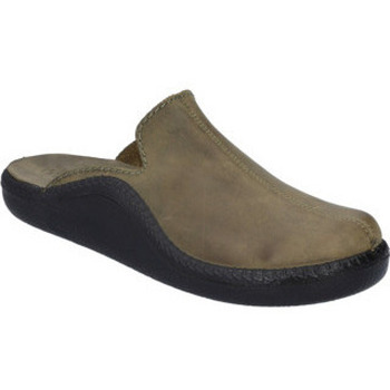 Westland  Hausschuhe Shoes für Erwachsene in olive günstig online kaufen