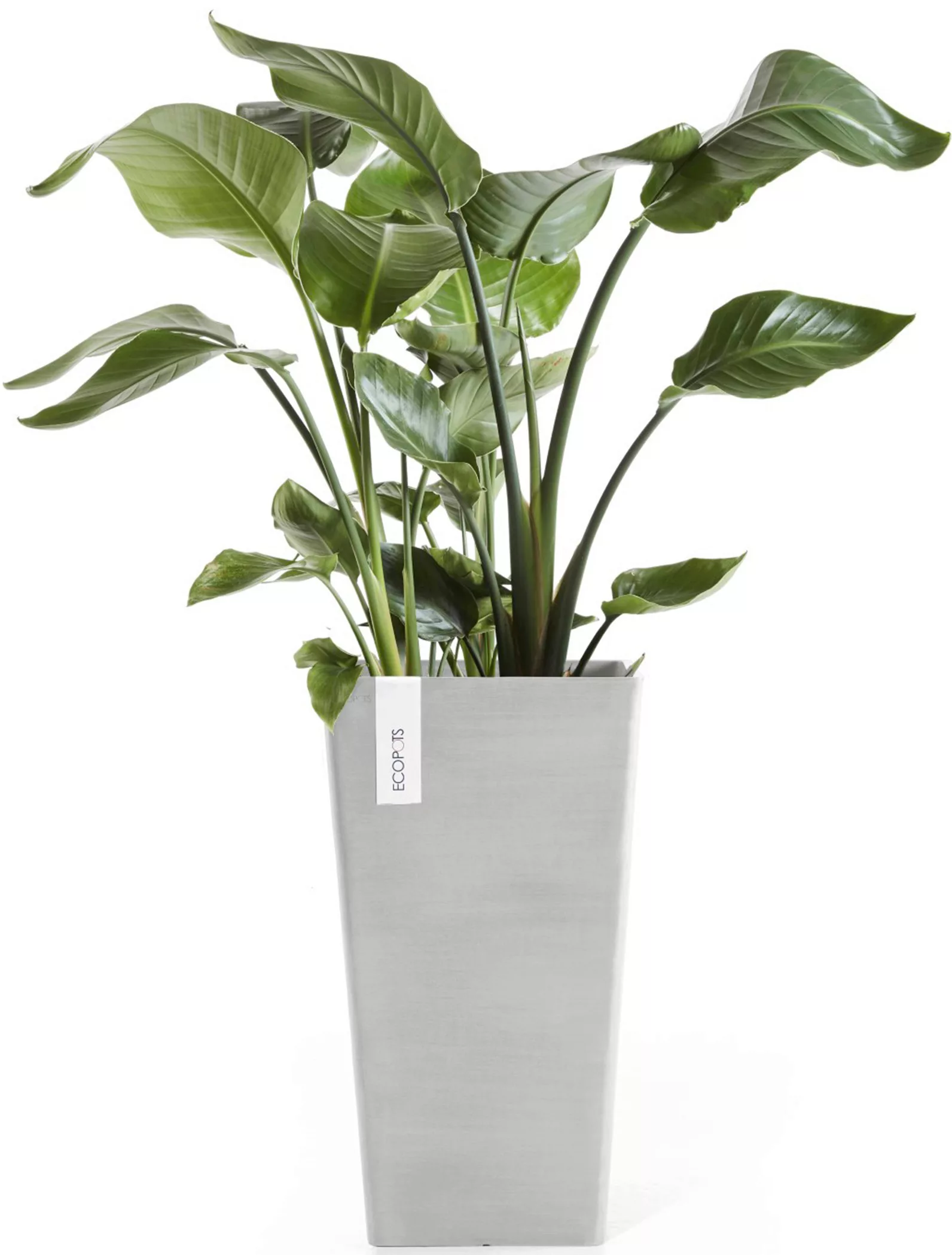 ECOPOTS Blumentopf "Rotterdam halbhoch 56 Weißgrau" günstig online kaufen