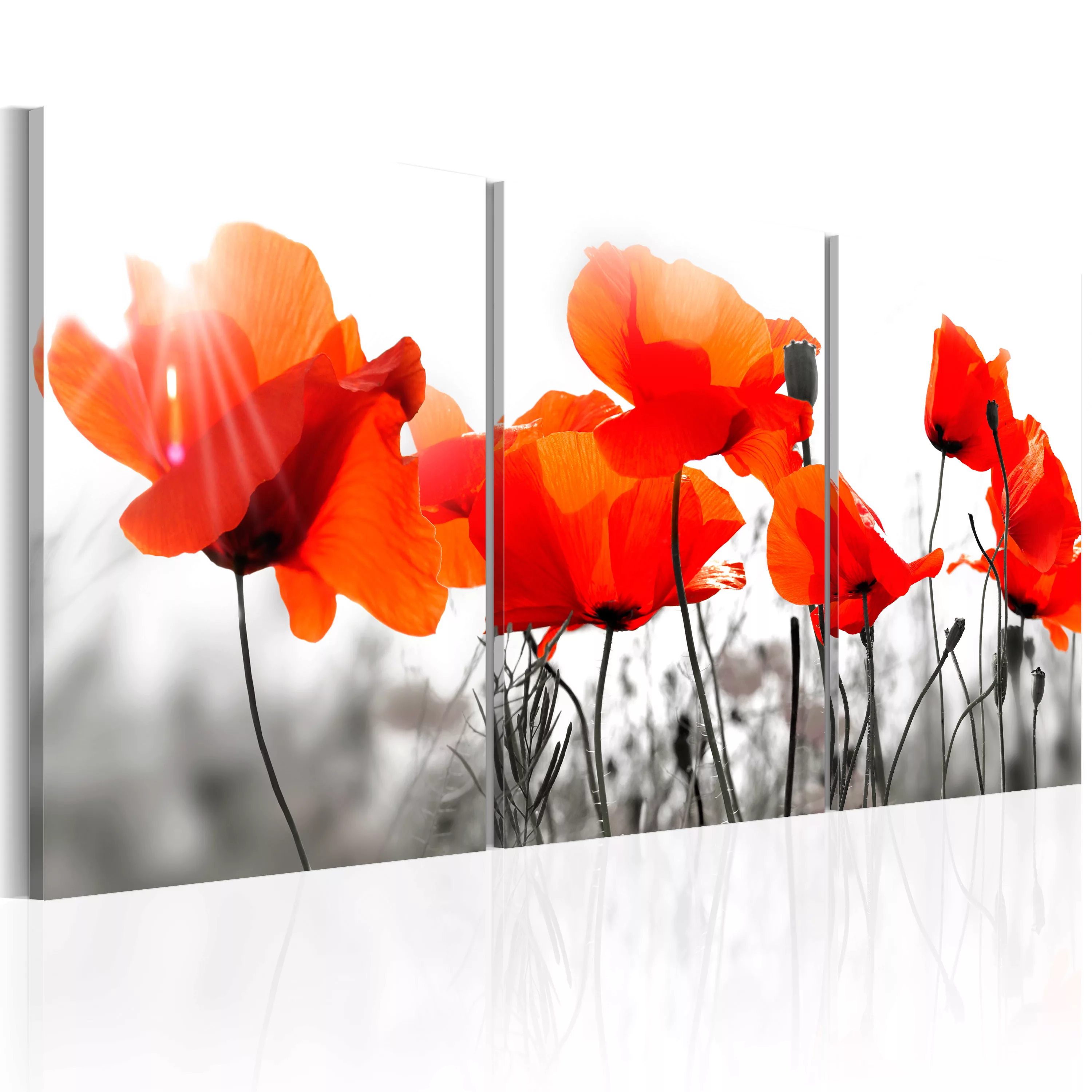 Wandbild - Charming Poppies günstig online kaufen