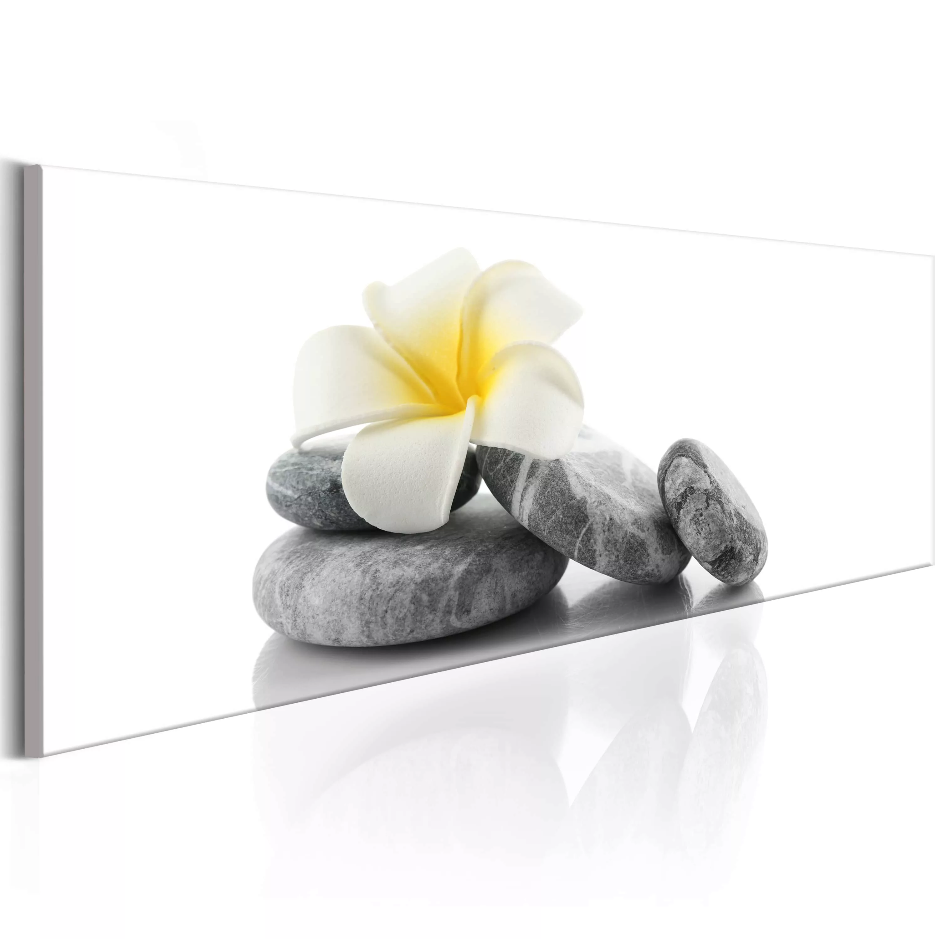 Wandbild - White Lotus günstig online kaufen