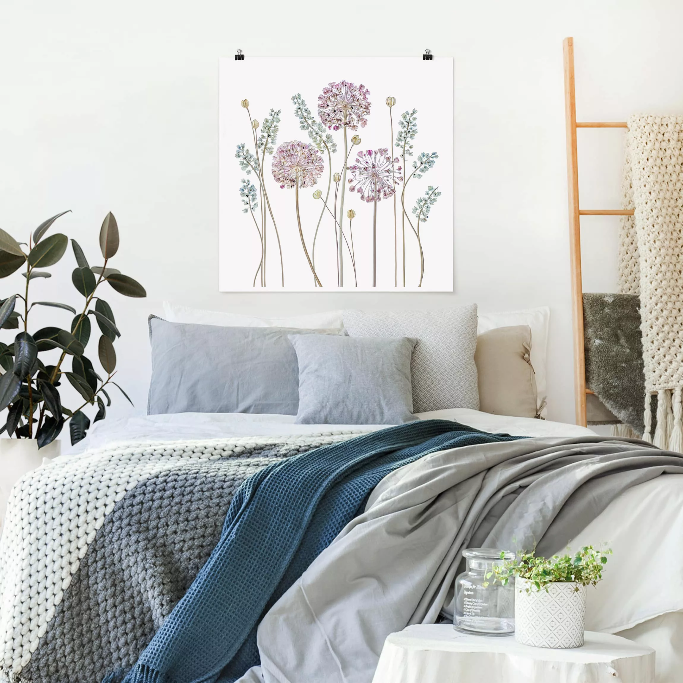 Poster Blumen - Quadrat Allium Illustration günstig online kaufen