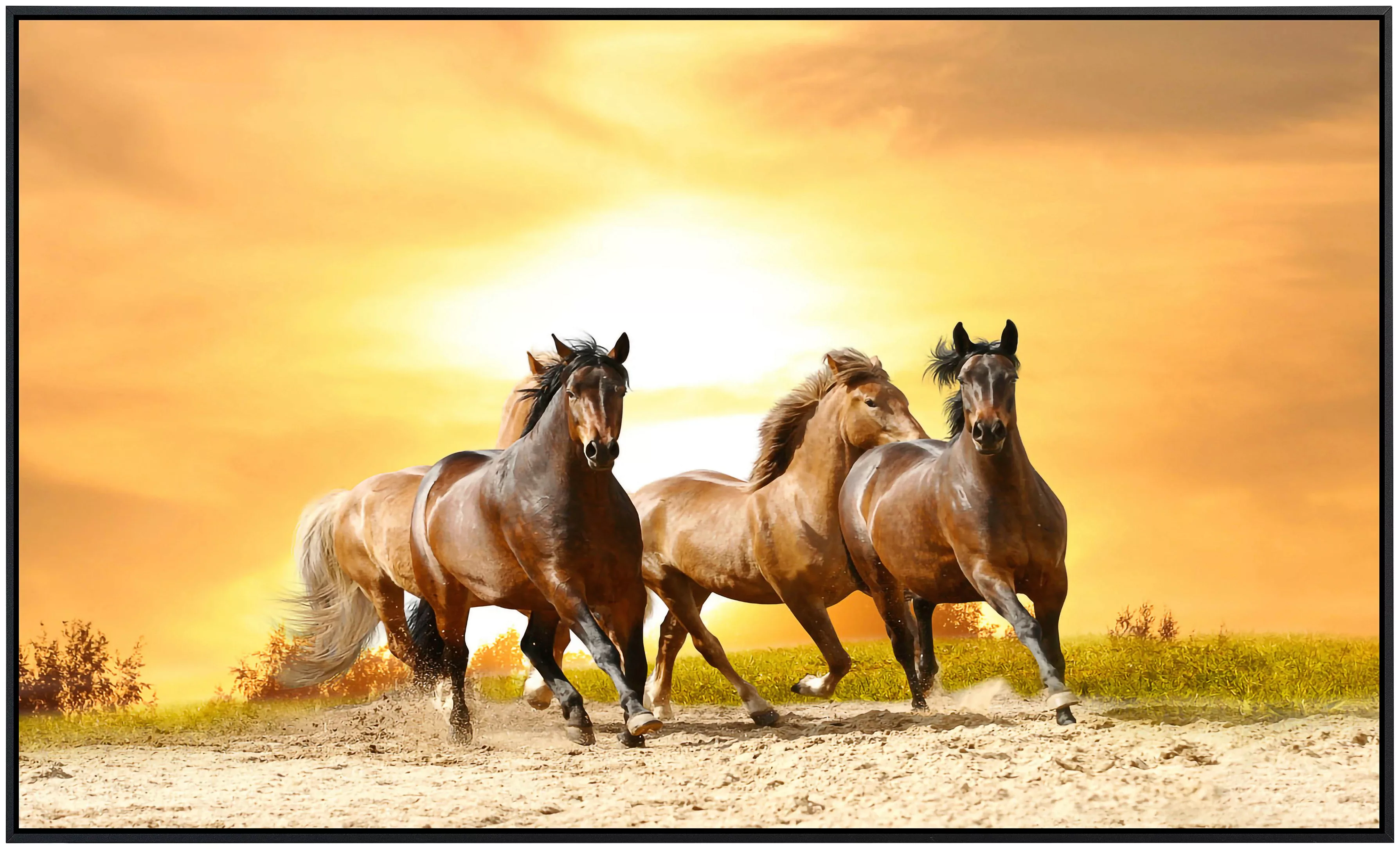 Papermoon Infrarotheizung »Pferde laufen im Sonnenuntergang«, sehr angenehm günstig online kaufen