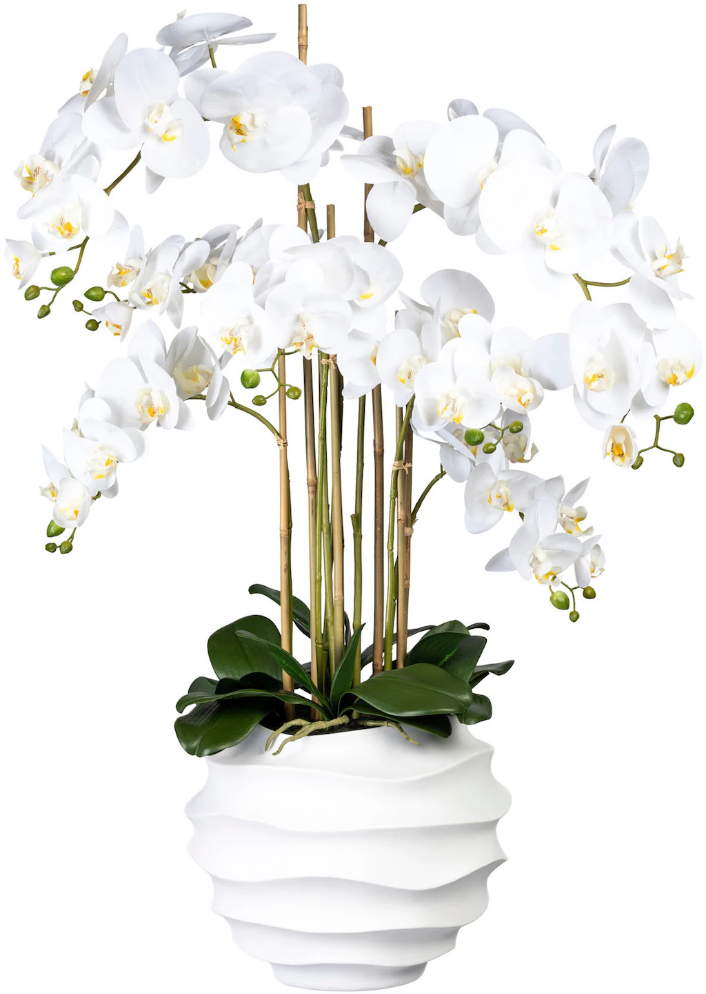Creativ green Kunstorchidee "Phalaenopsis", in Design-Kunststoffvase günstig online kaufen
