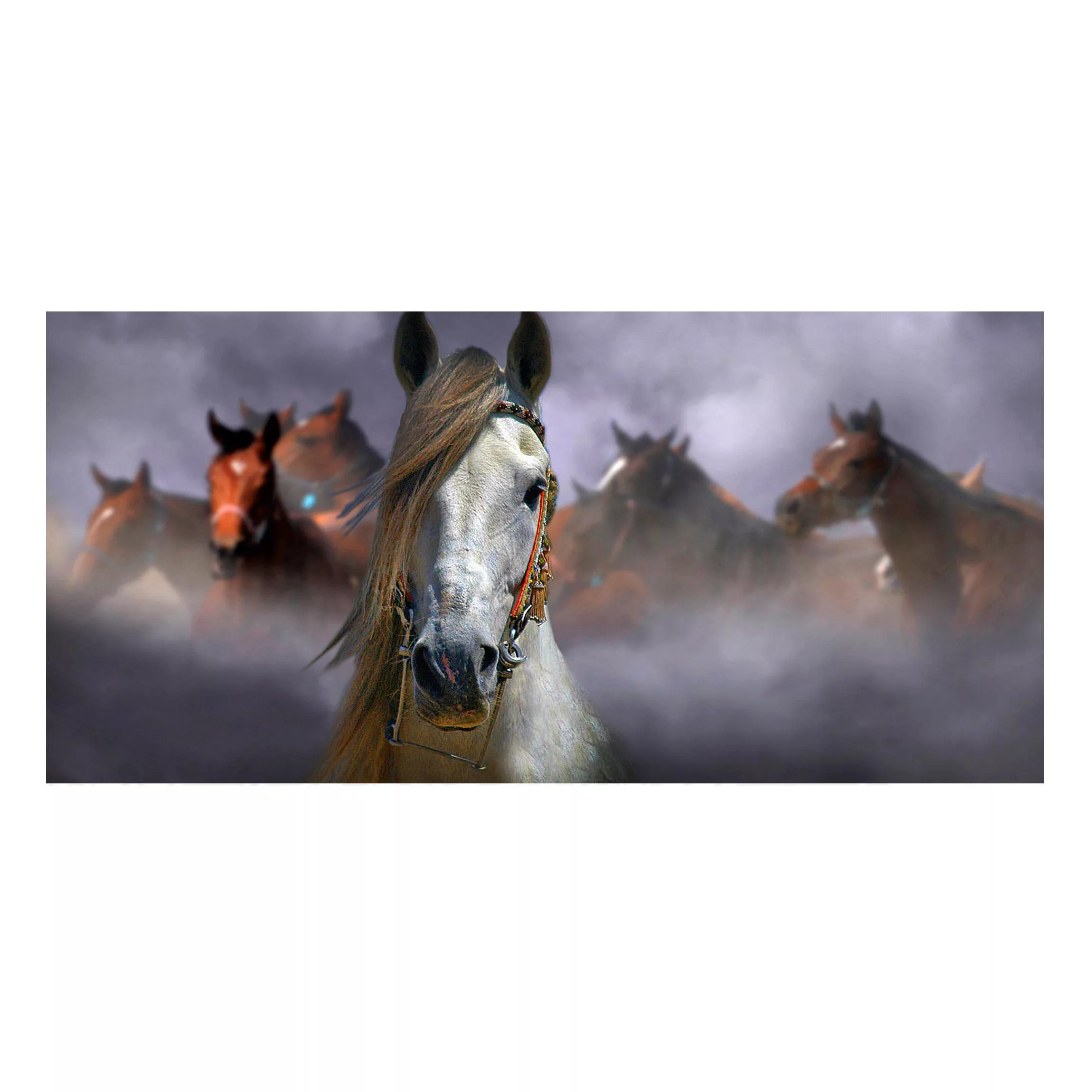 Magnettafel Tiere - Querformat 2:1 Horses in the Dust günstig online kaufen