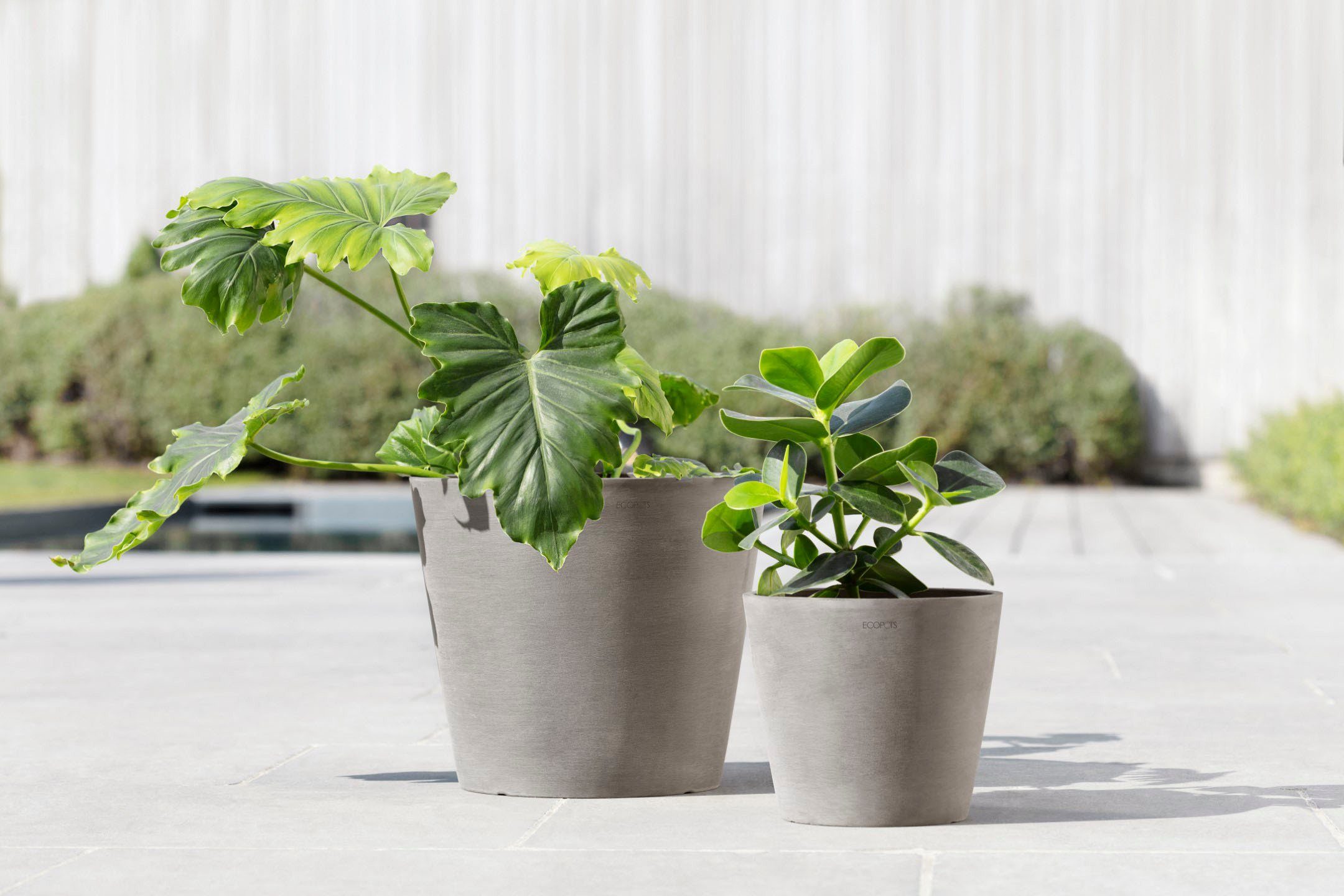 Ecopots Pflanztopf Amsterdam Braungrau 30 cm günstig online kaufen