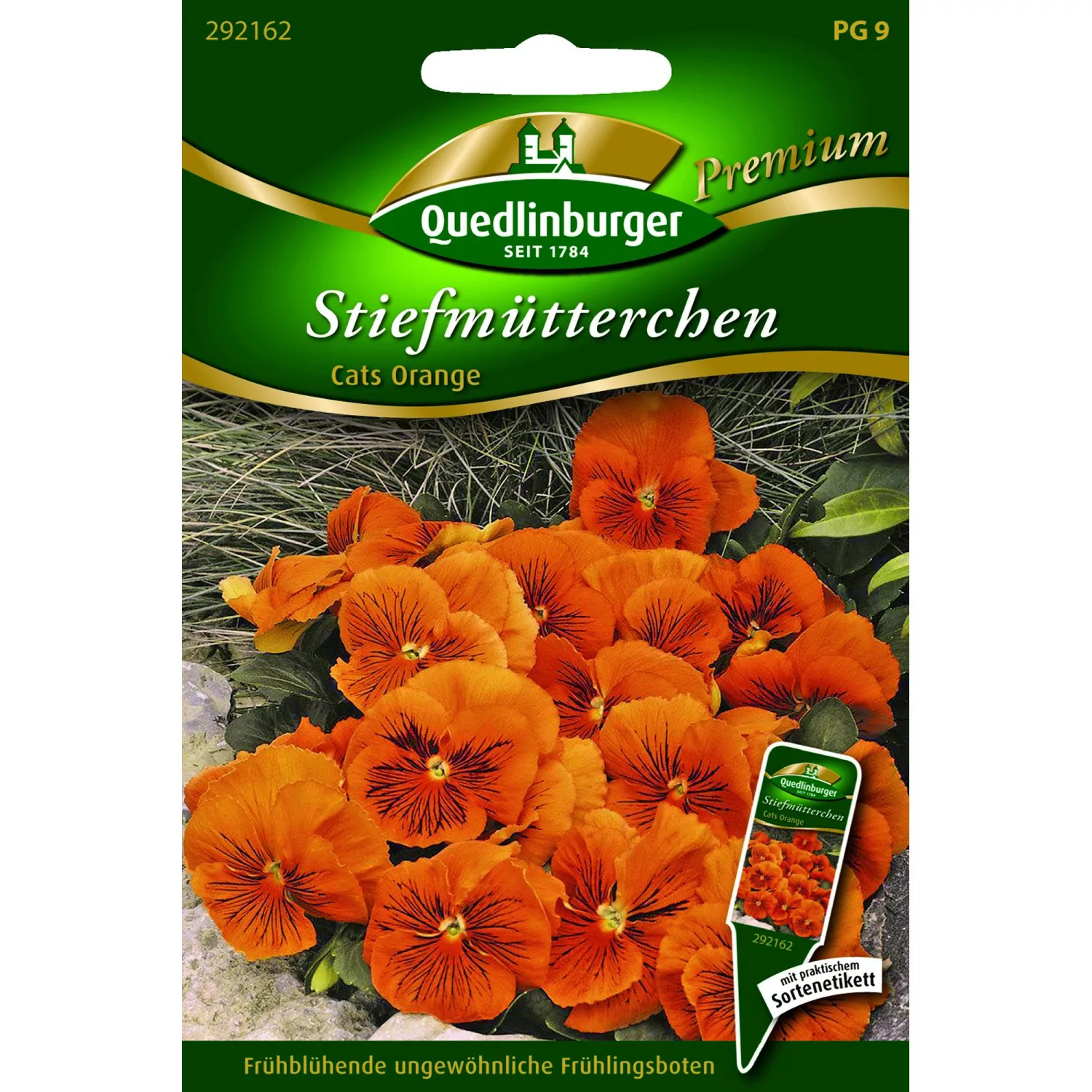 Quedlinburger Stiefmütterchen ''Cats orange'' günstig online kaufen