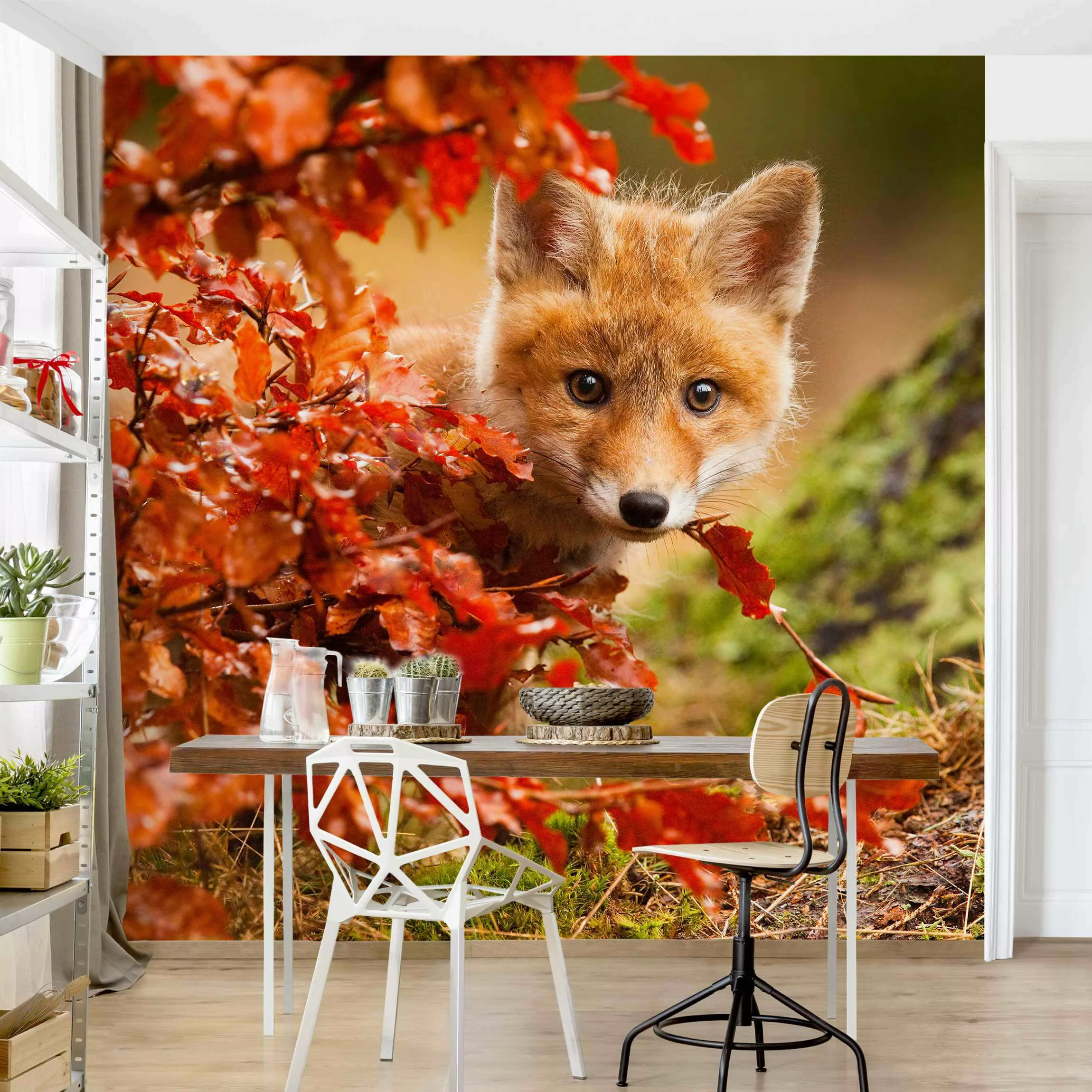Fototapete Fuchs im Herbst günstig online kaufen