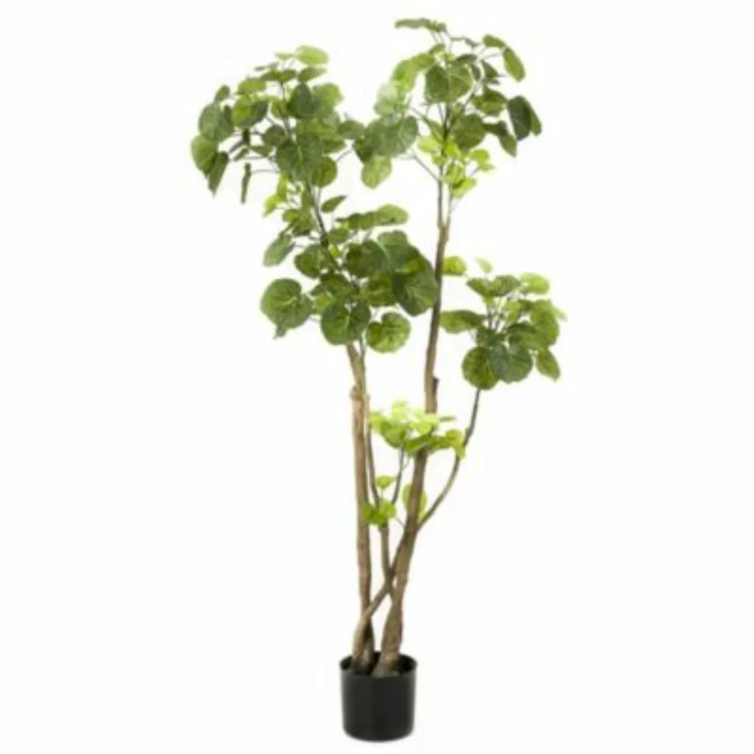 Emerald Kunstpflanze Fiederaralien Grün 135 cm 420292 Dekorationspflanze gr günstig online kaufen