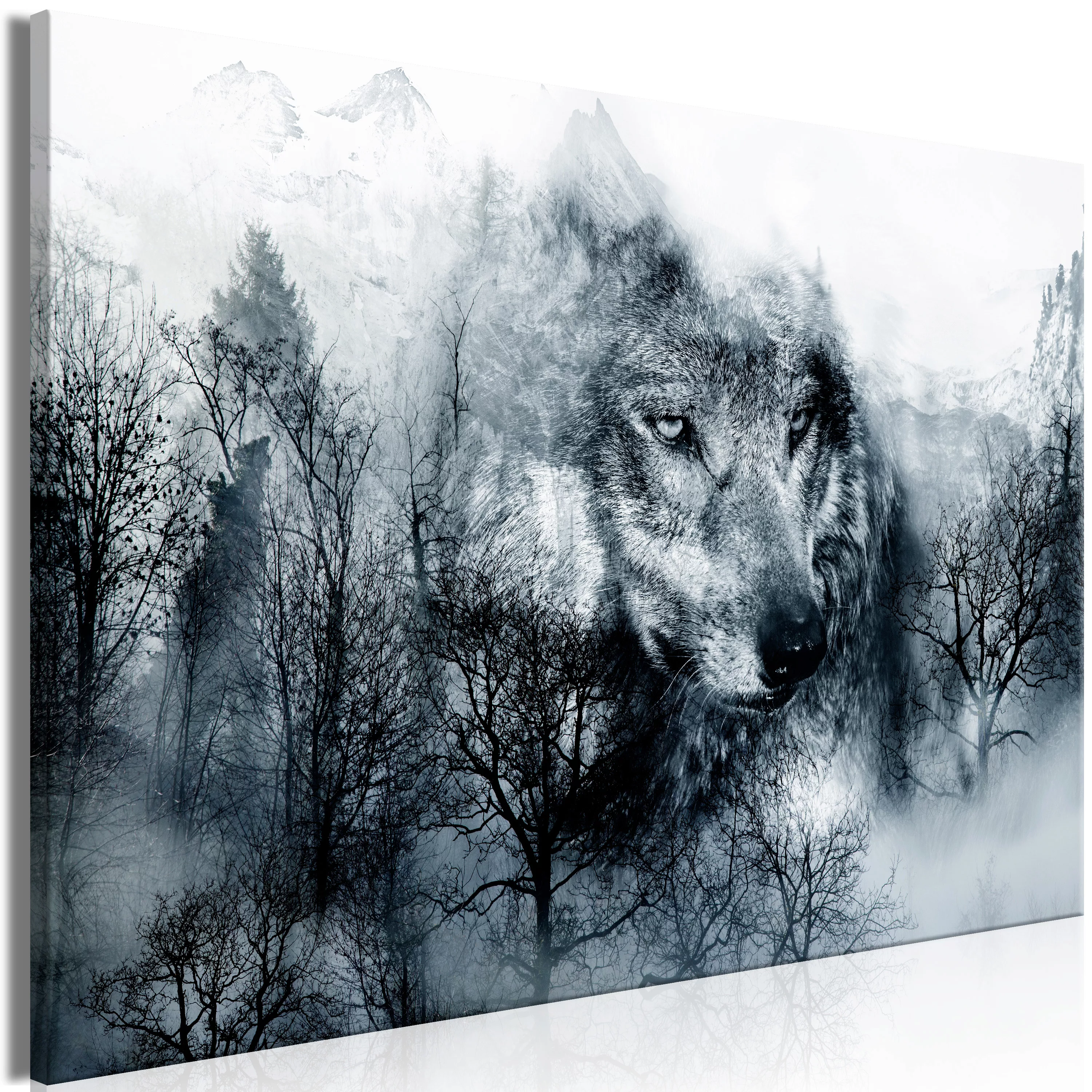 Wandbild - Mountain Predator (1 Part) Wide Black And White günstig online kaufen