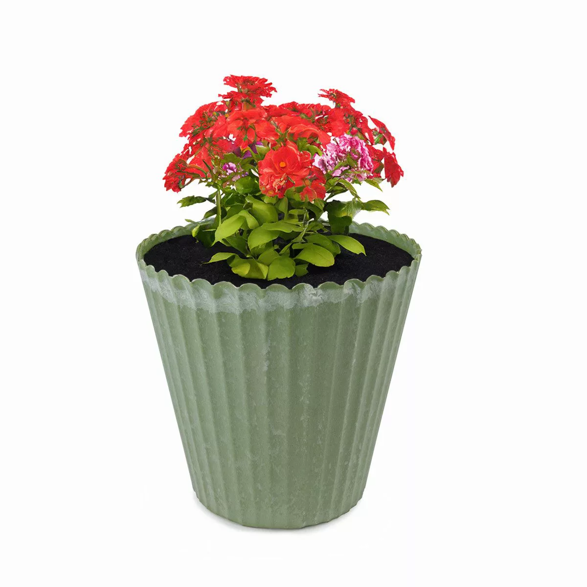 matches21 HOME & HOBBY Blumentopf Blumen-Topf günstig online kaufen