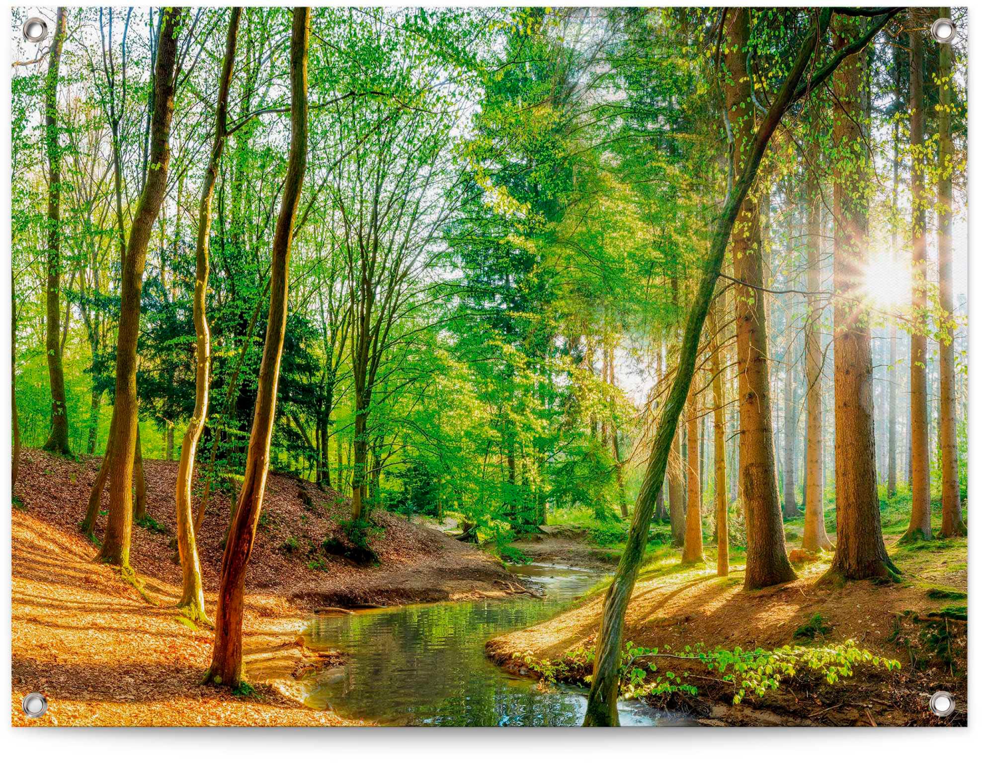 Reinders Poster "Sonniger Wald" günstig online kaufen