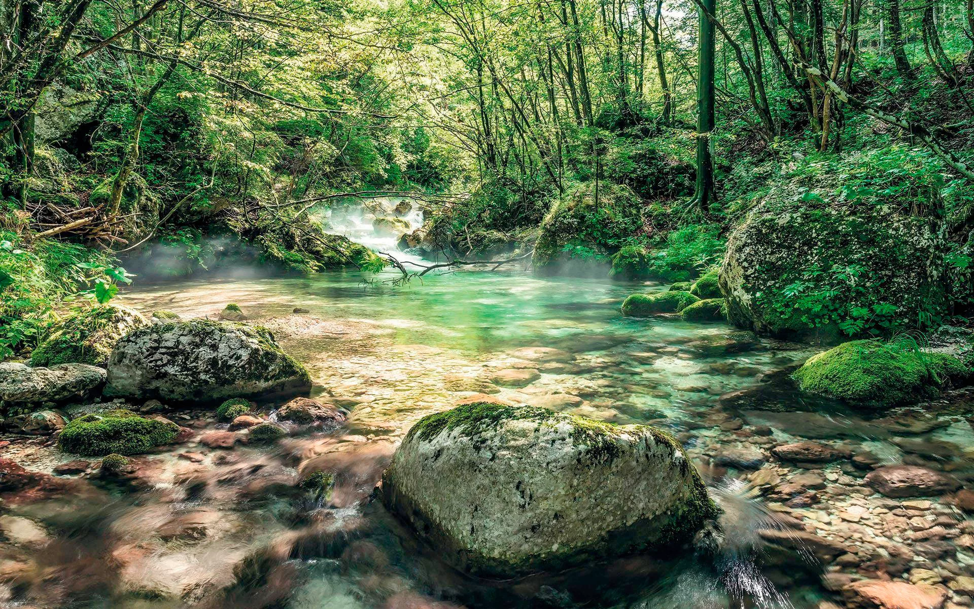 Komar Vliestapete »Digitaldruck Vlies - Tranquil Pool - Größe 400 x 250 cm« günstig online kaufen