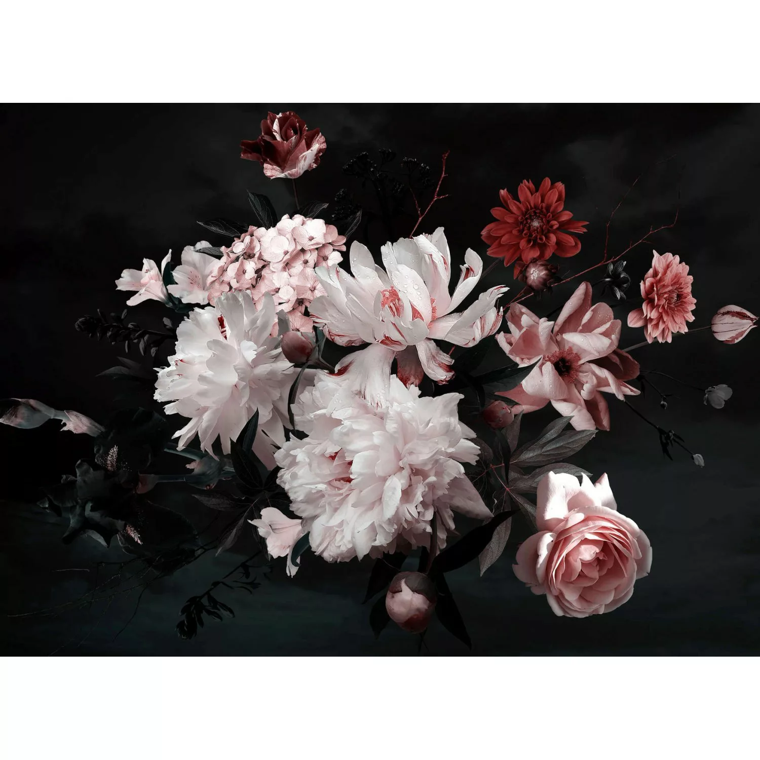 Fototapete Blumenbouquet Weiß Schwarz 3,50 m x 2,55 m FSC® günstig online kaufen