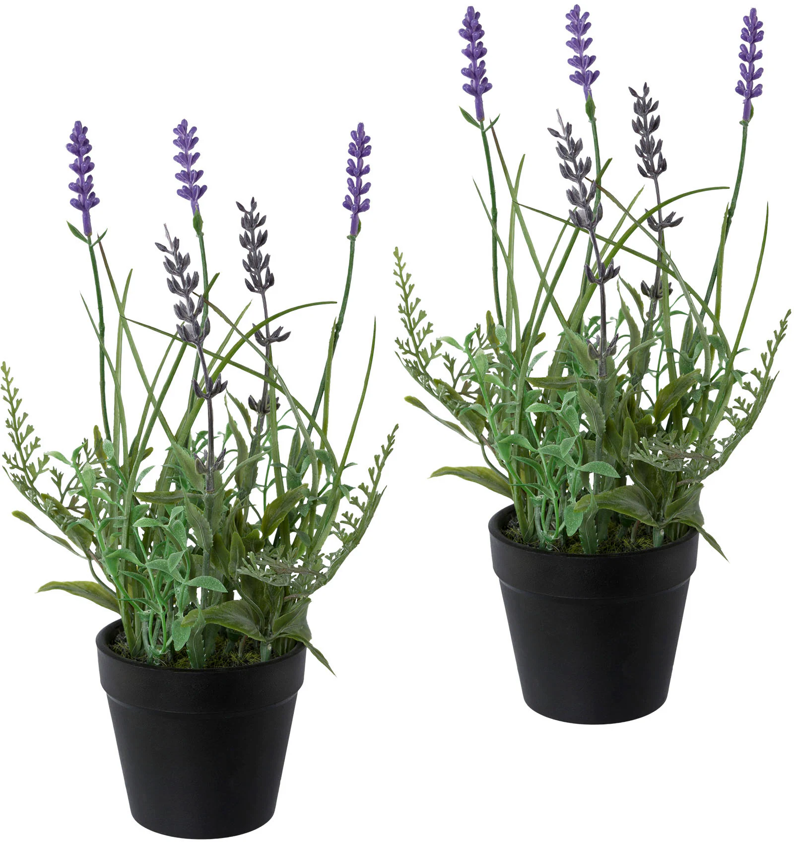 Creativ green Kunstpflanze "Lavendel", 3er Set, im Kunststofftopf günstig online kaufen