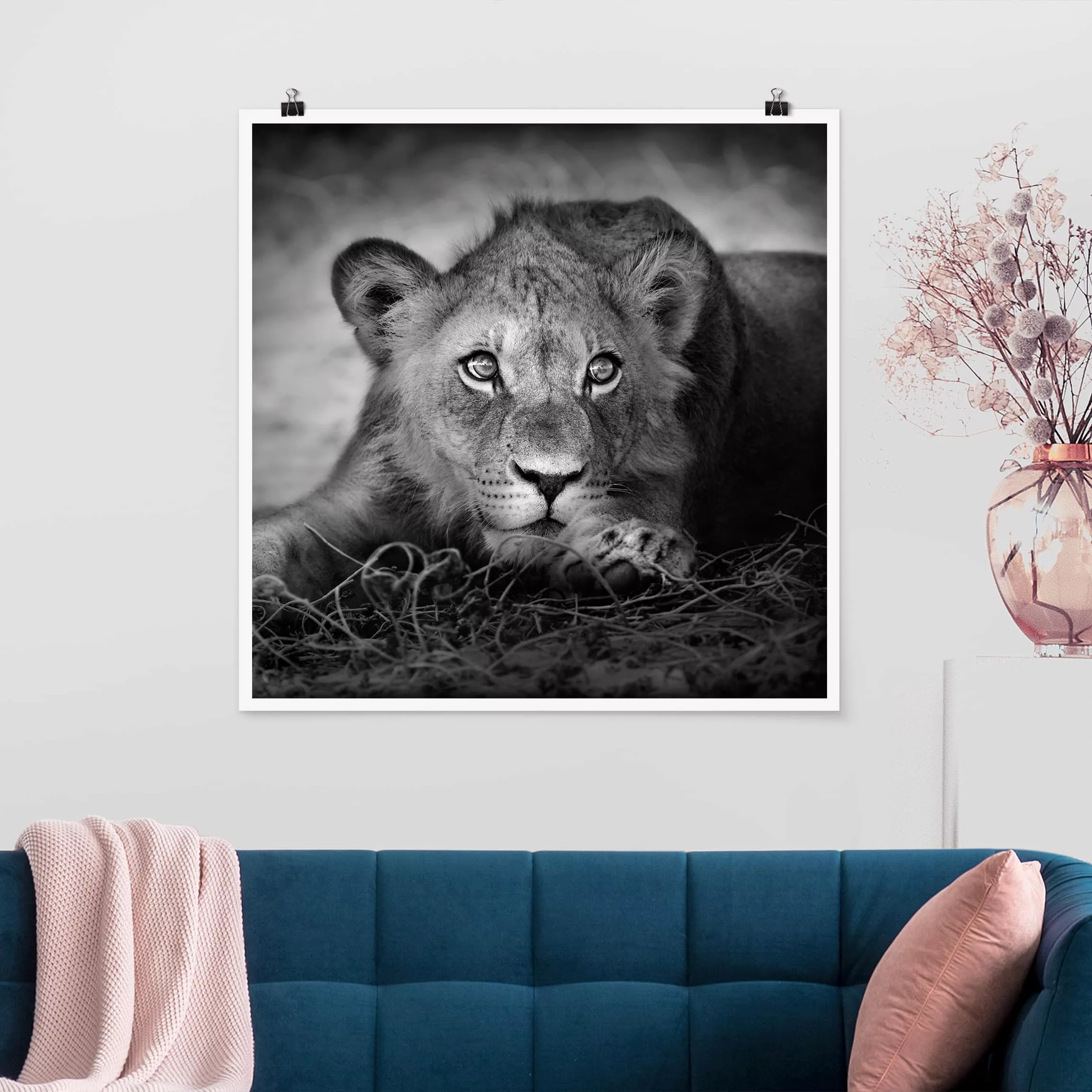 Poster Tiere - Quadrat Lurking Lionbaby günstig online kaufen