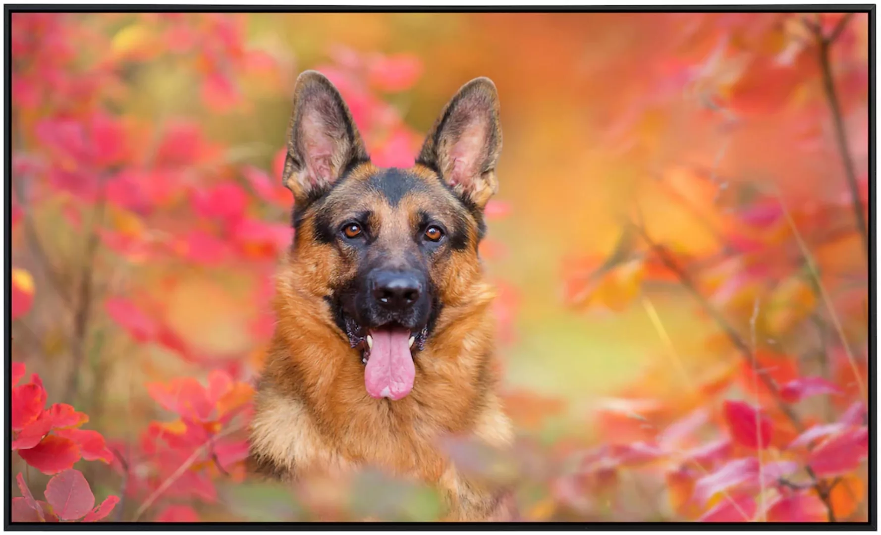 Papermoon Infrarotheizung »Hund in Natur«, sehr angenehme Strahlungswärme günstig online kaufen