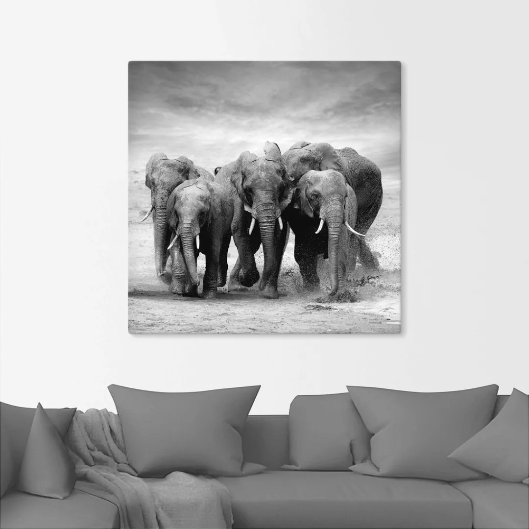 Artland Wandbild »Elefanten«, Wildtiere, (1 St.), als Leinwandbild, Poster, günstig online kaufen