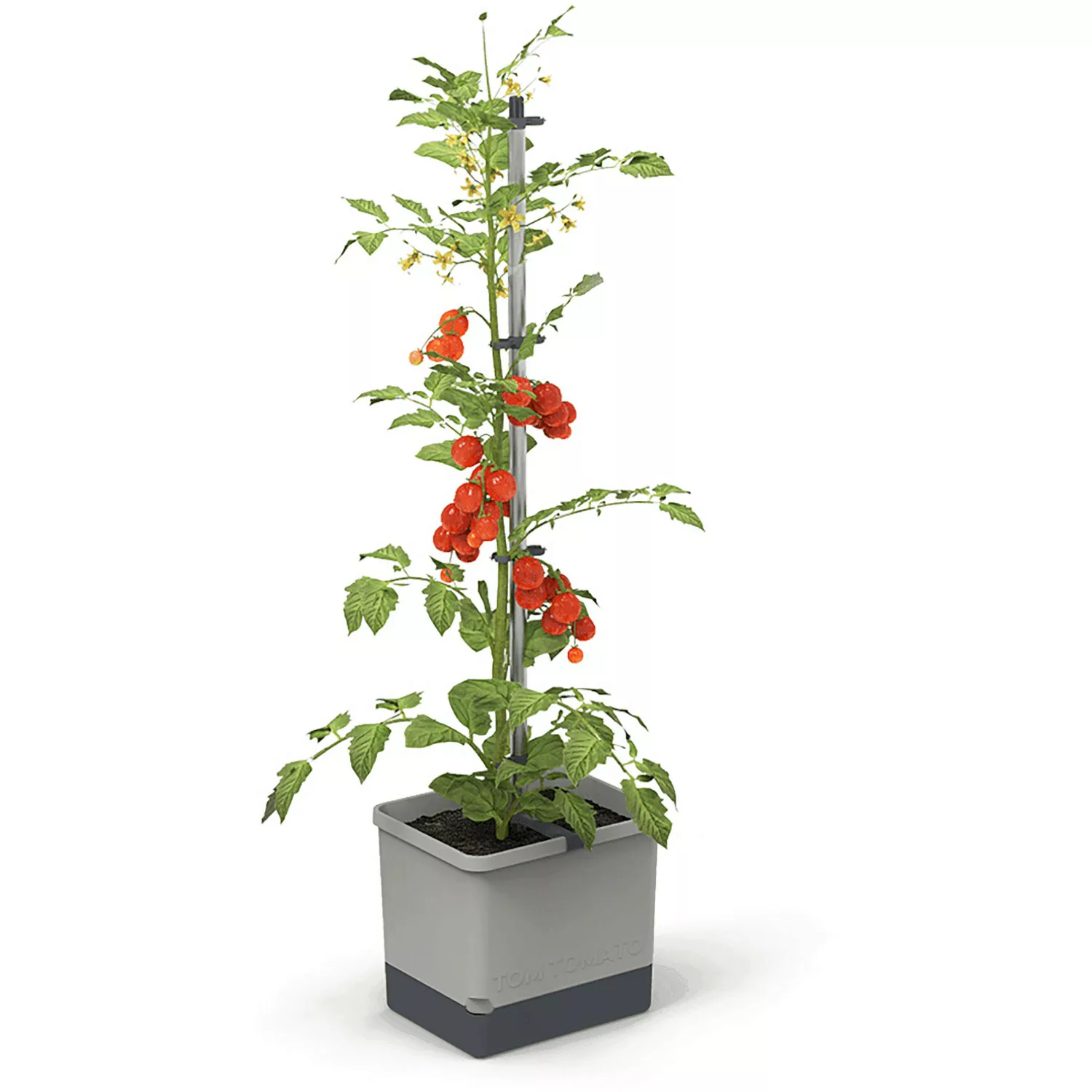 Gusta Garden Tom Tomato Tomatentopf hellgrau günstig online kaufen