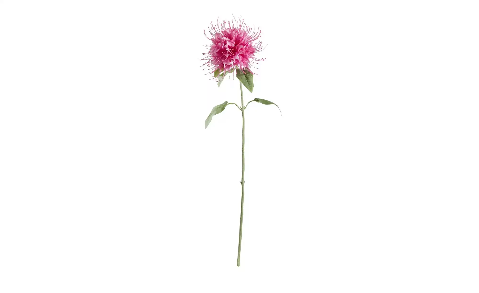 Kunstblume Monarda ¦ rosa/pink ¦ Kunststoff Accessoires > Kunstblumen - Höf günstig online kaufen