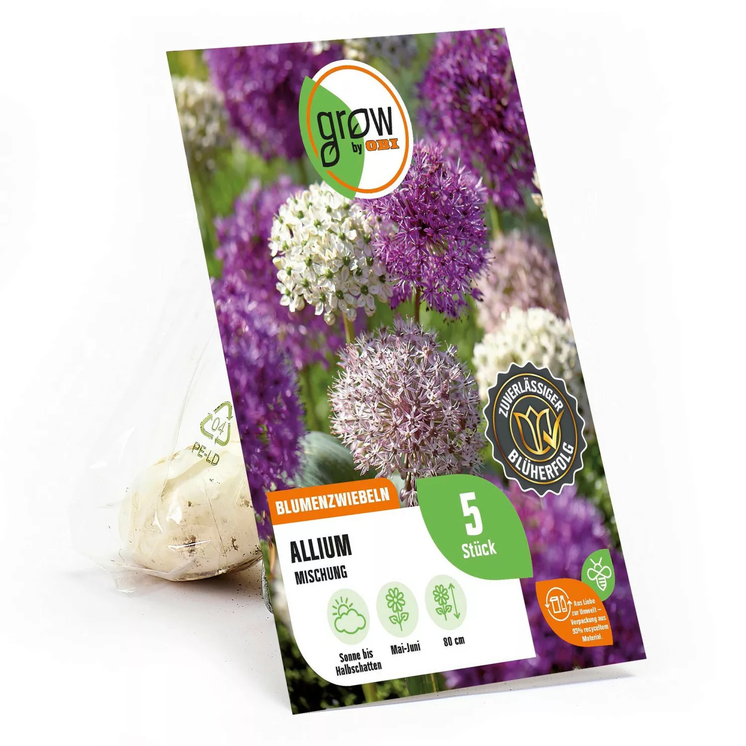 GROW by OBI Zierlauch Mischung 80 cm Allium günstig online kaufen