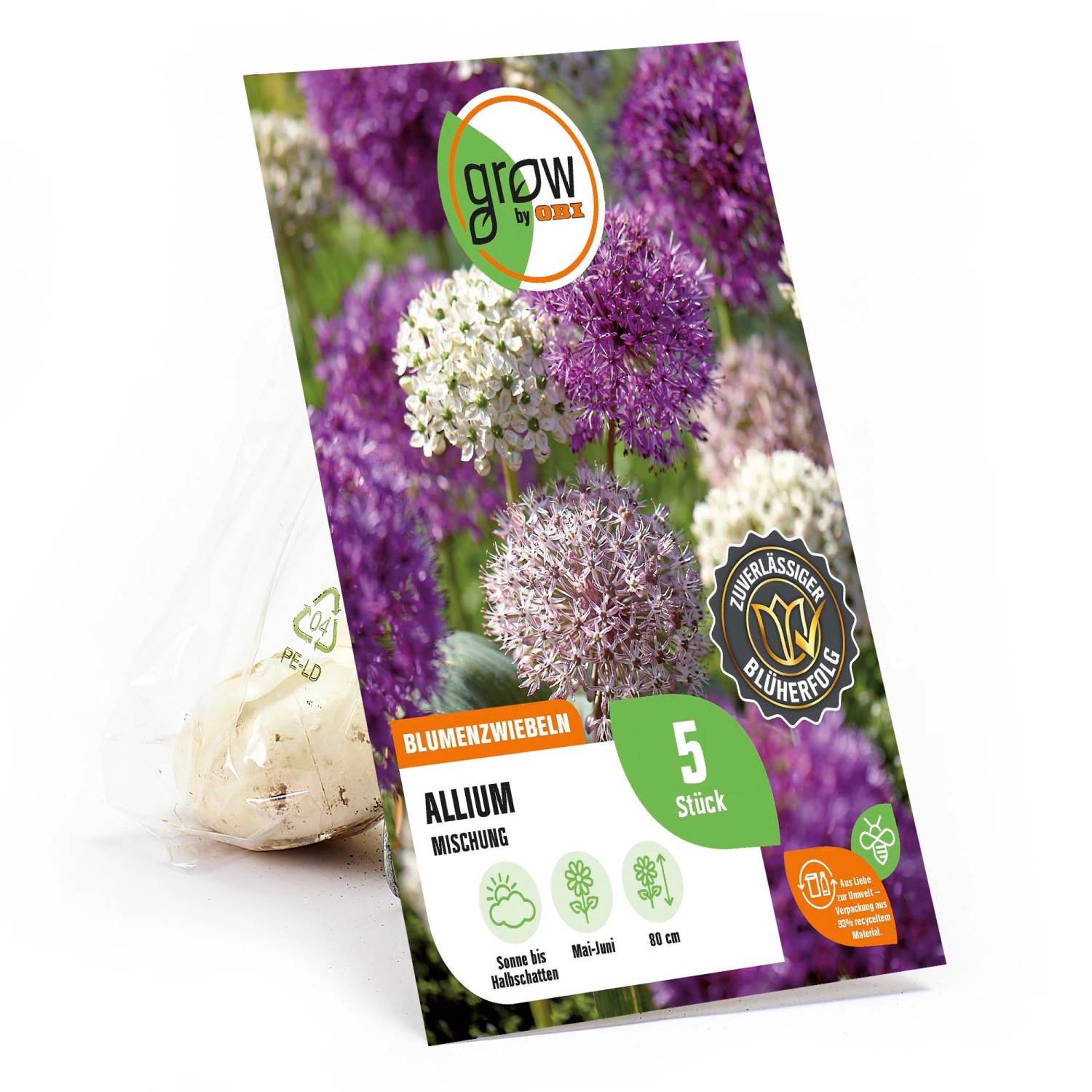 GROW by OBI Zierlauch Purple Sensation Mischung 5 Stück Allium günstig online kaufen