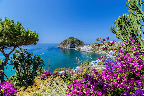 Papermoon Fototapete »ISCHIA ITALIEN-BOUGANVILLA INSEL MEER BLUME FELSEN WA günstig online kaufen