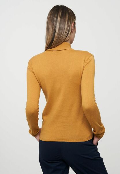 Rollkragenpullover Aus Biobaumwolle | Pullover Citrus günstig online kaufen