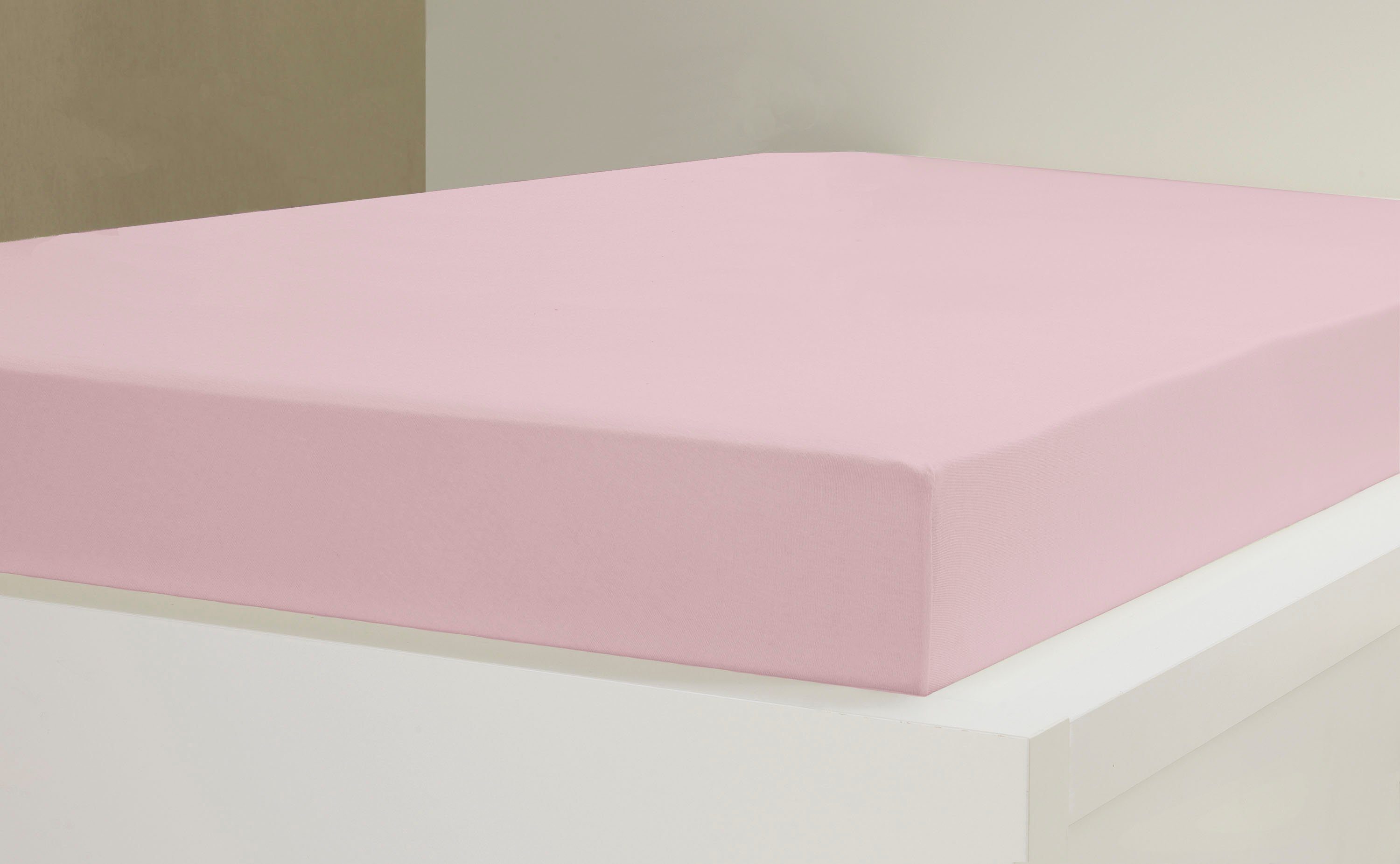 Esprit Spannbettlaken SHEET, Jersey-Elasthan, Gummizug: rundum, günstig online kaufen