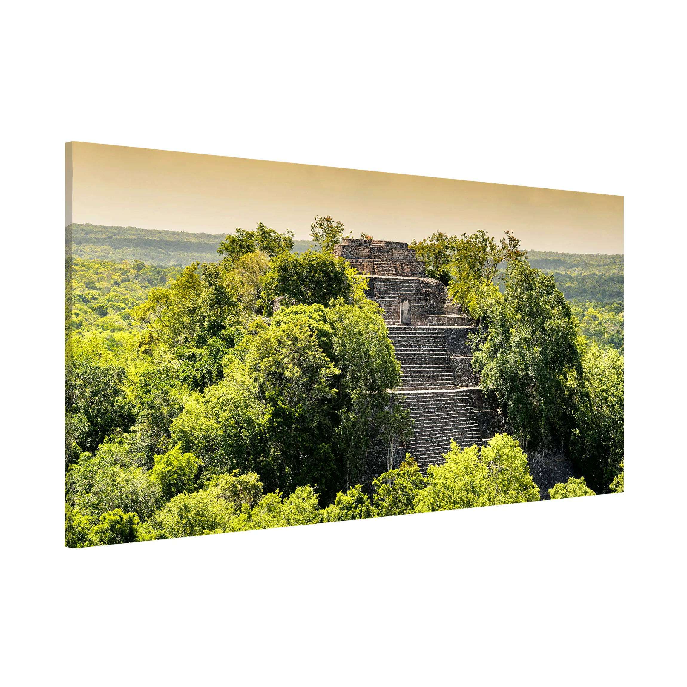 Magnettafel Natur & Landschaft - Querformat 2:1 Pyramide von Calakmul günstig online kaufen