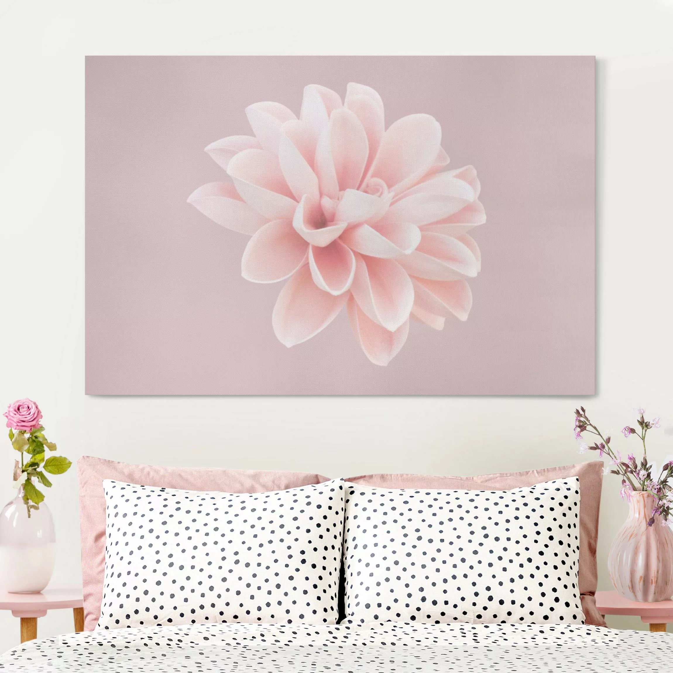 Leinwandbild Dahlie Blume Lavendel Rosa Weiß günstig online kaufen