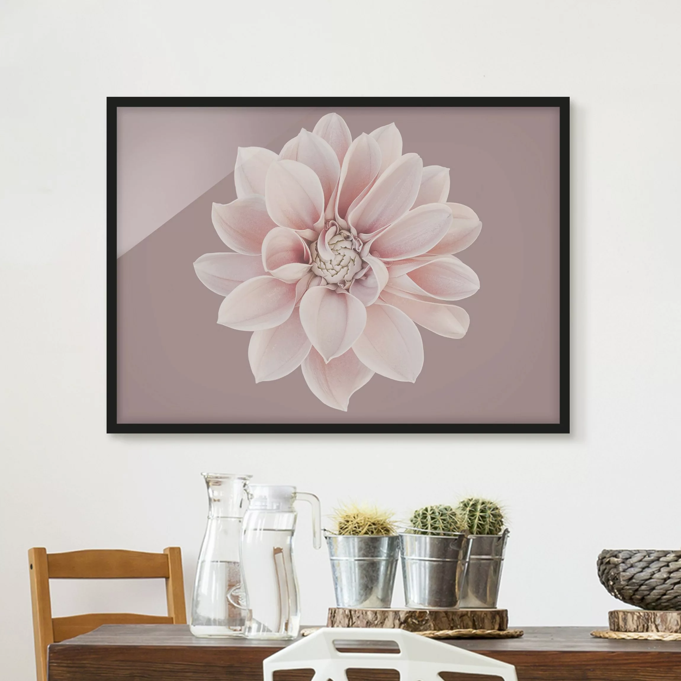 Bild mit Rahmen Dahlie Blume Lavendel Weiß Rosa günstig online kaufen