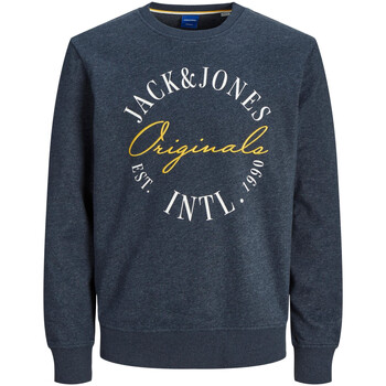 Jack & Jones  Sweatshirt Sweatshirt Willow Langarmshirt günstig online kaufen