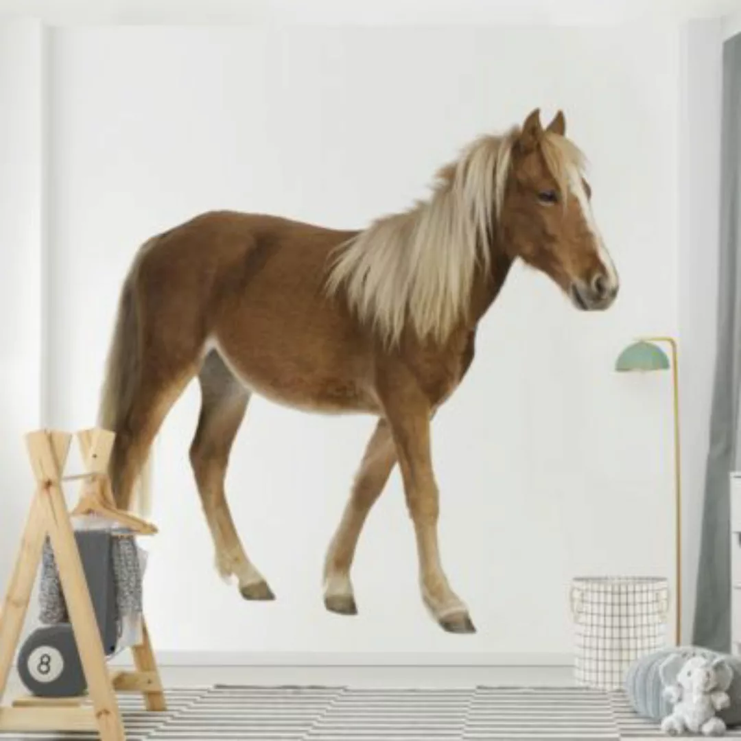 Bilderwelten Vliestapete Pony braun Gr. 336 x 336 günstig online kaufen