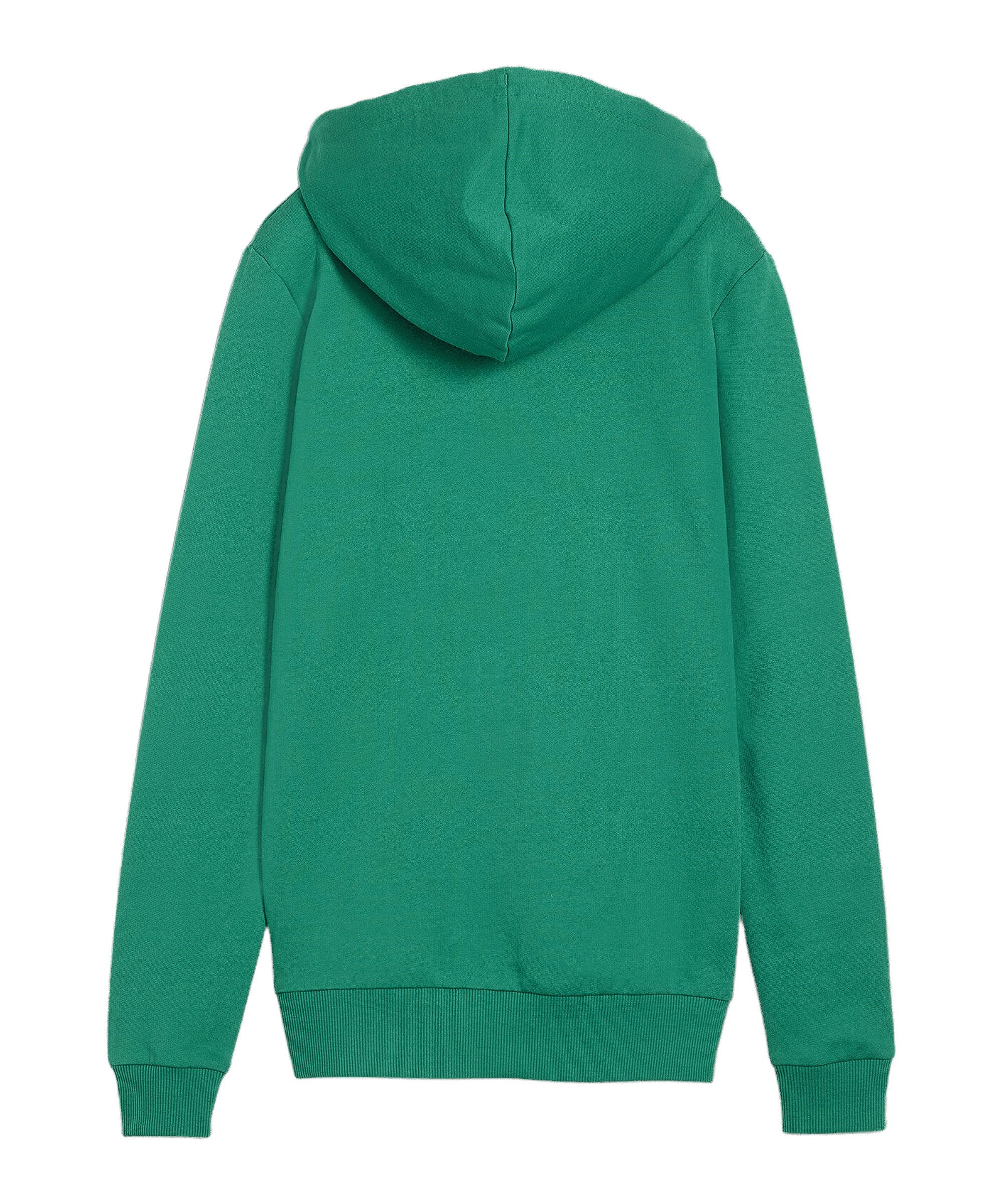 PUMA Sweater PUMA teamGOAL Casuals Hoody günstig online kaufen