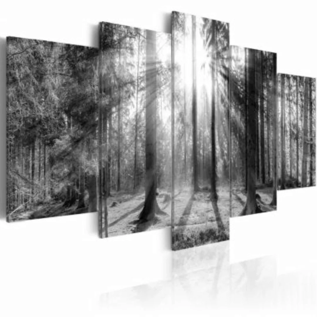 artgeist Wandbild Forest of Memories schwarz/weiß Gr. 200 x 100 günstig online kaufen